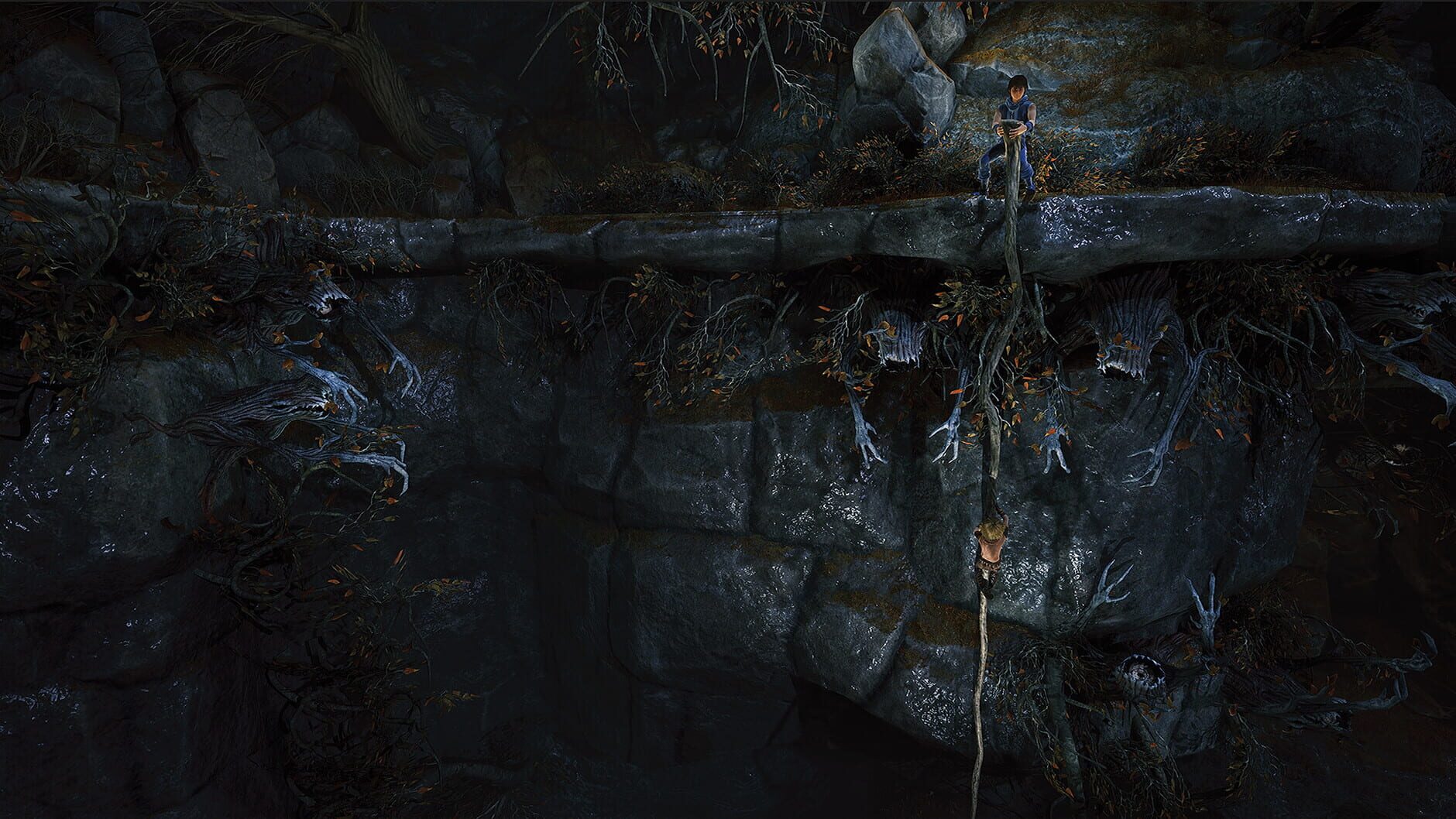 Screenshot for Brothers: A Tale of Two Sons Remake