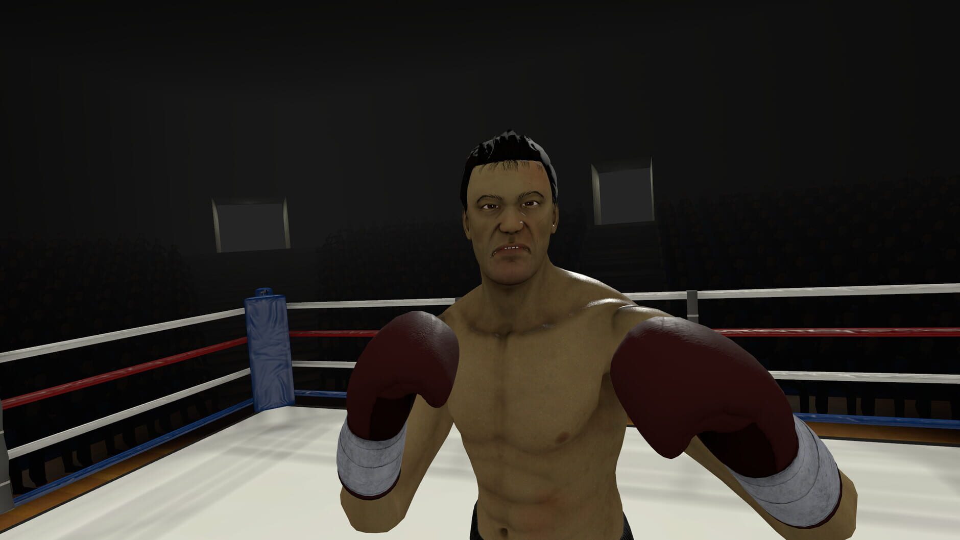 Screenshot for The Thrill of the Fight