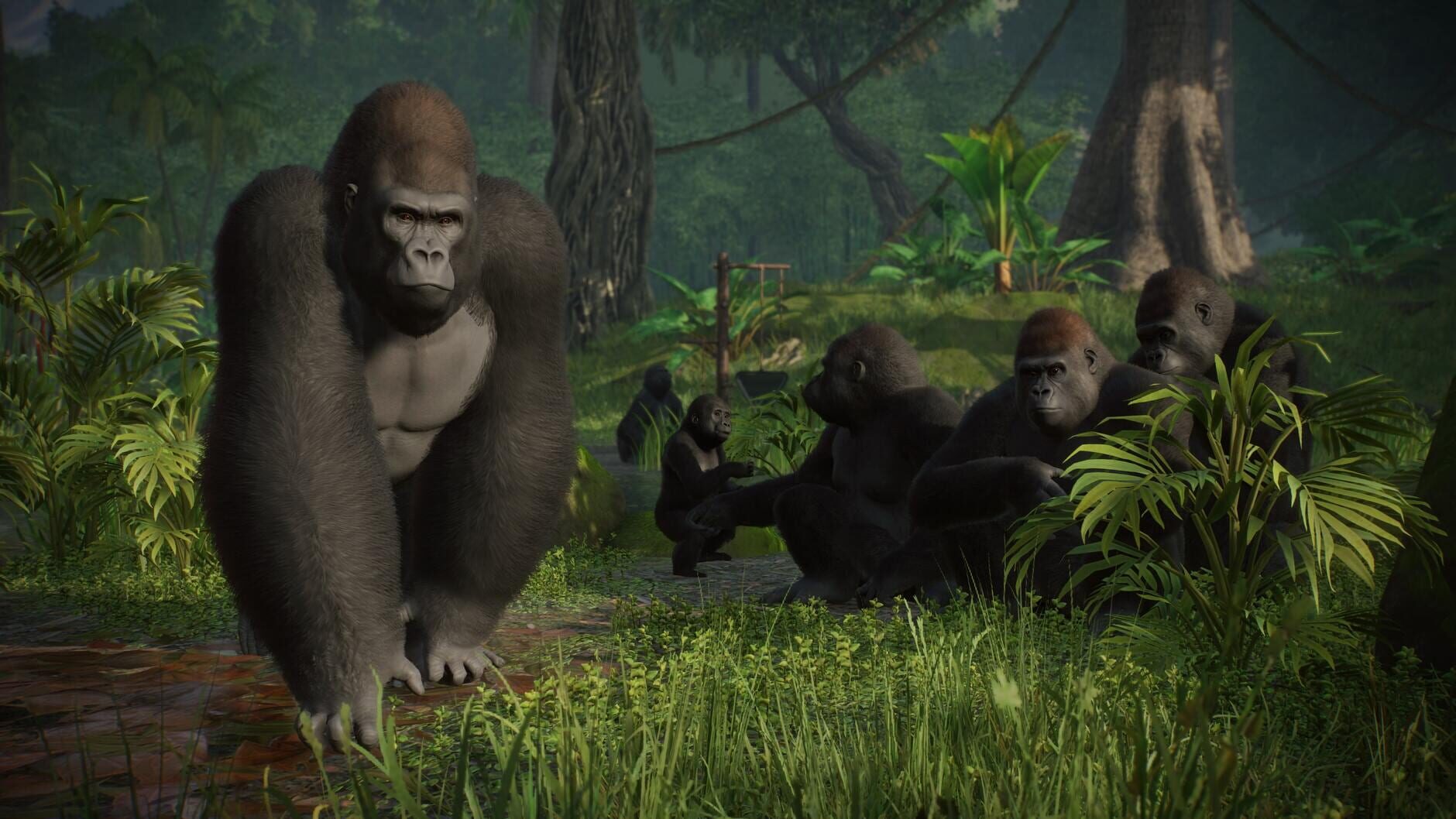 Screenshot for Planet Zoo: Console Edition