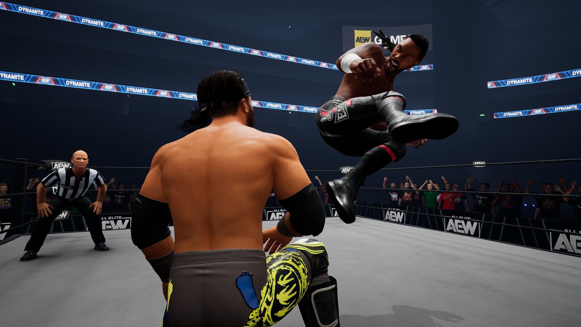 Screenshot for All Elite Wrestling: Fight Forever - Swerve to the Beach