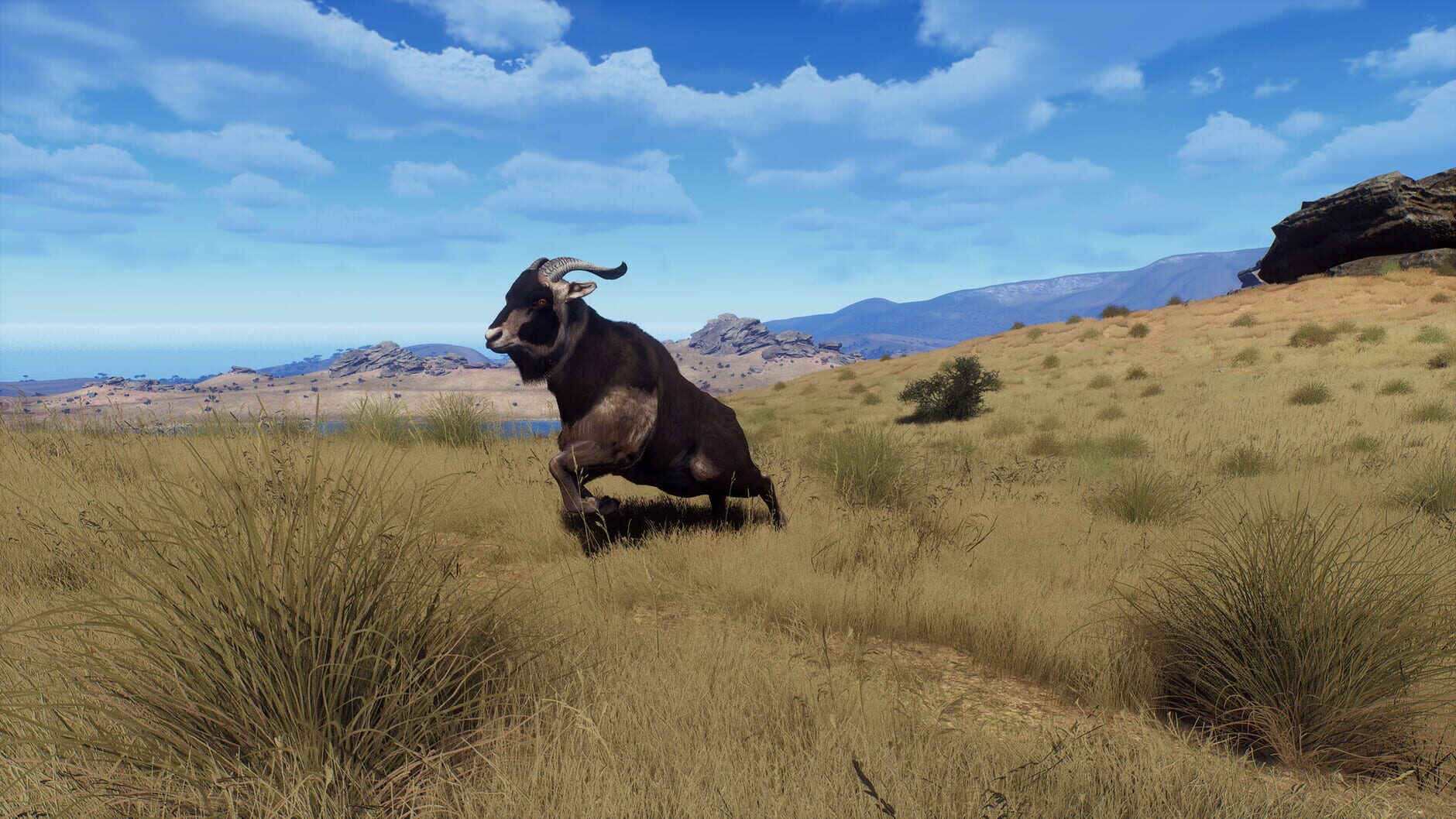 Screenshot for Way of the Hunter: Matariki Park