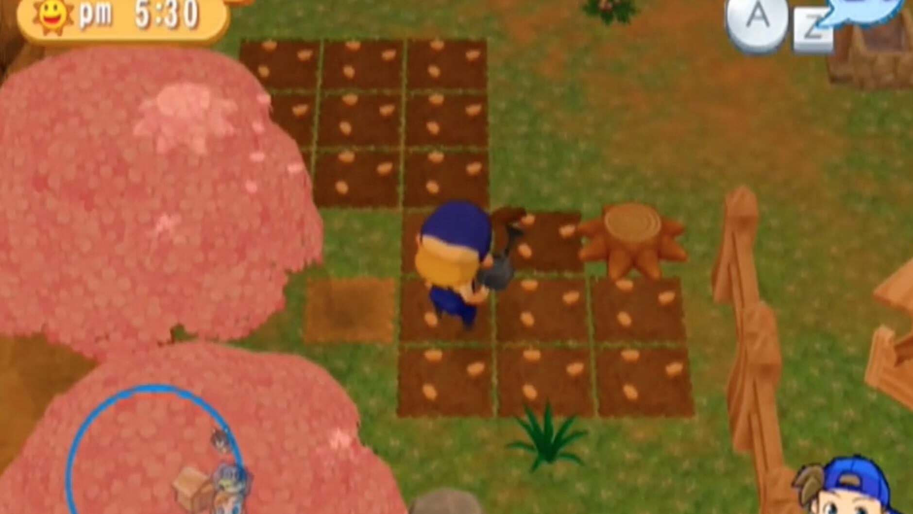 Screenshot for Harvest Moon: Magical Melody