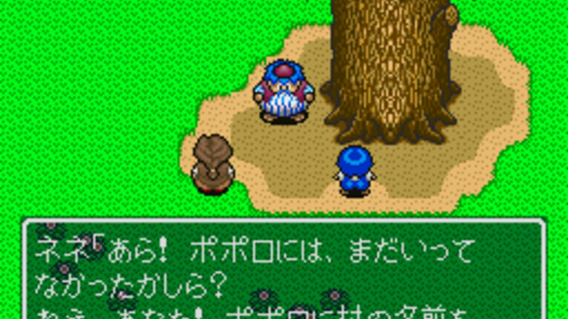 Screenshot for Fushigi no Dungeon: Torneko no Daibouken