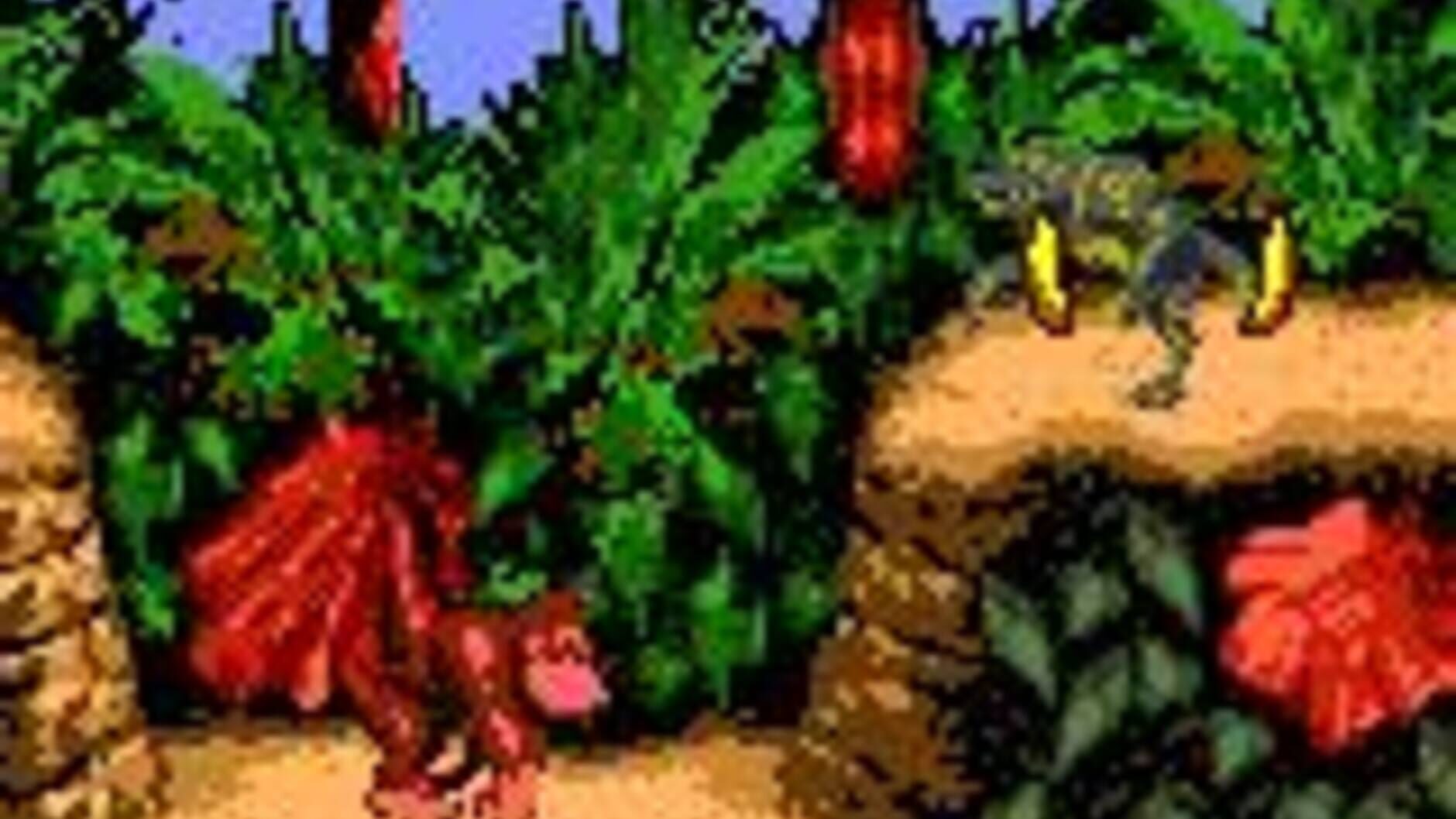 Screenshot for Donkey Kong Country