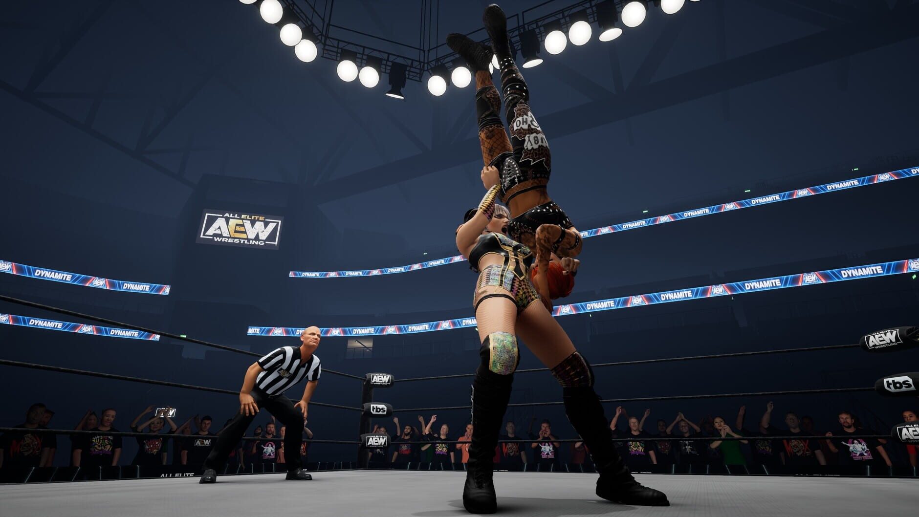 Screenshot for All Elite Wrestling: Fight Forever - Hayter's Gunna Game