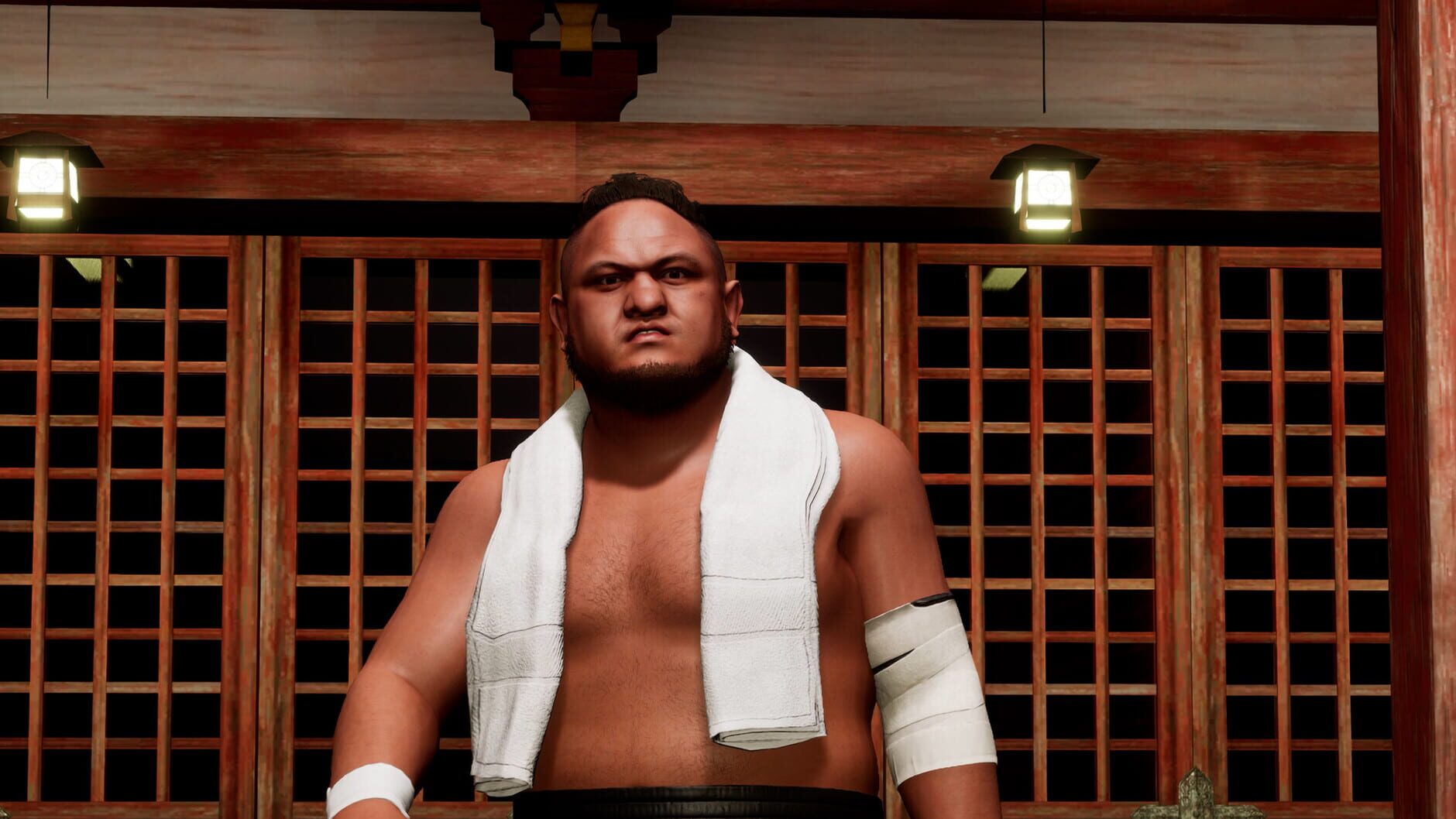 Screenshot for All Elite Wrestling: Fight Forever - World War Joe