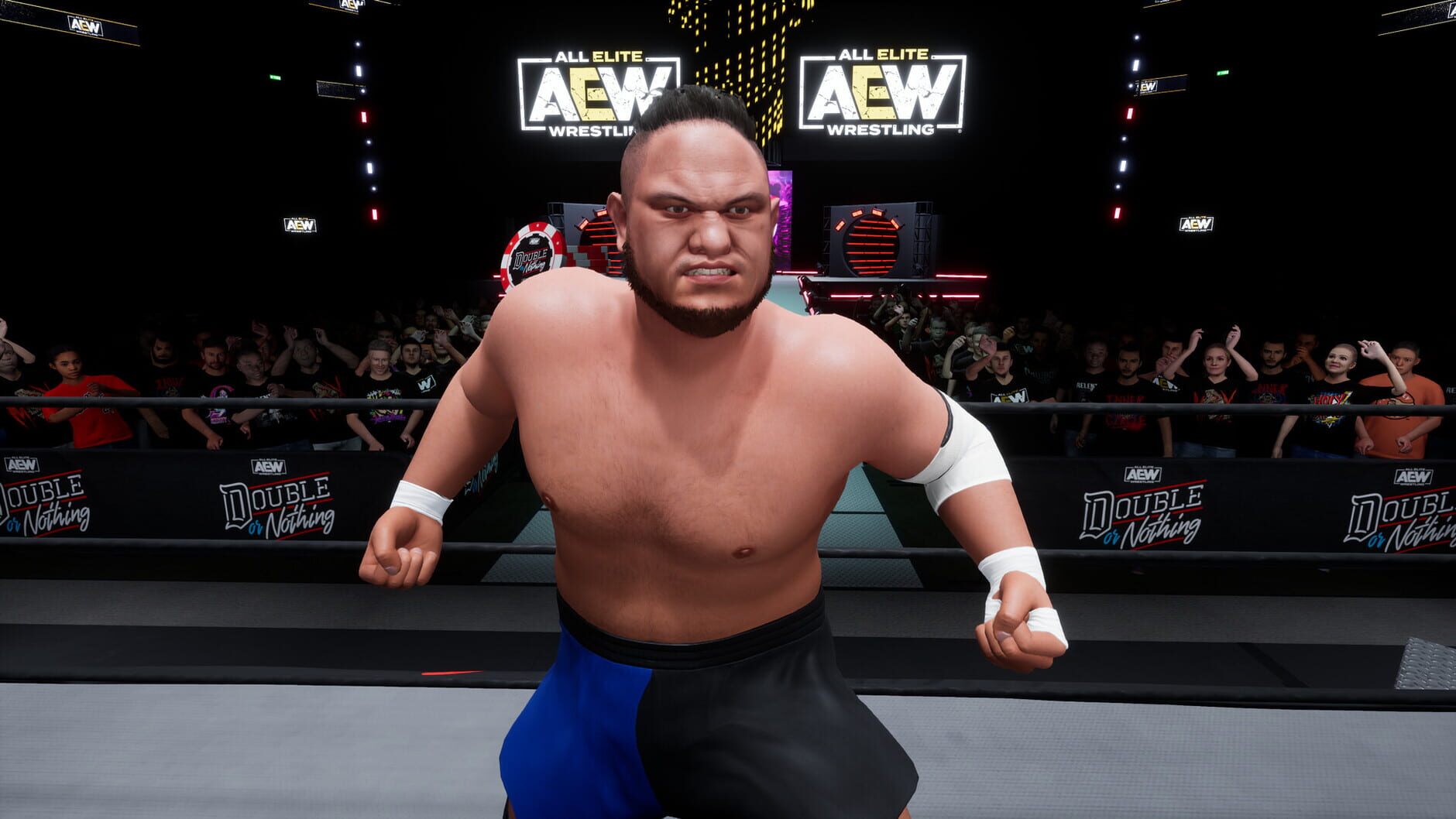 Screenshot for All Elite Wrestling: Fight Forever - World War Joe