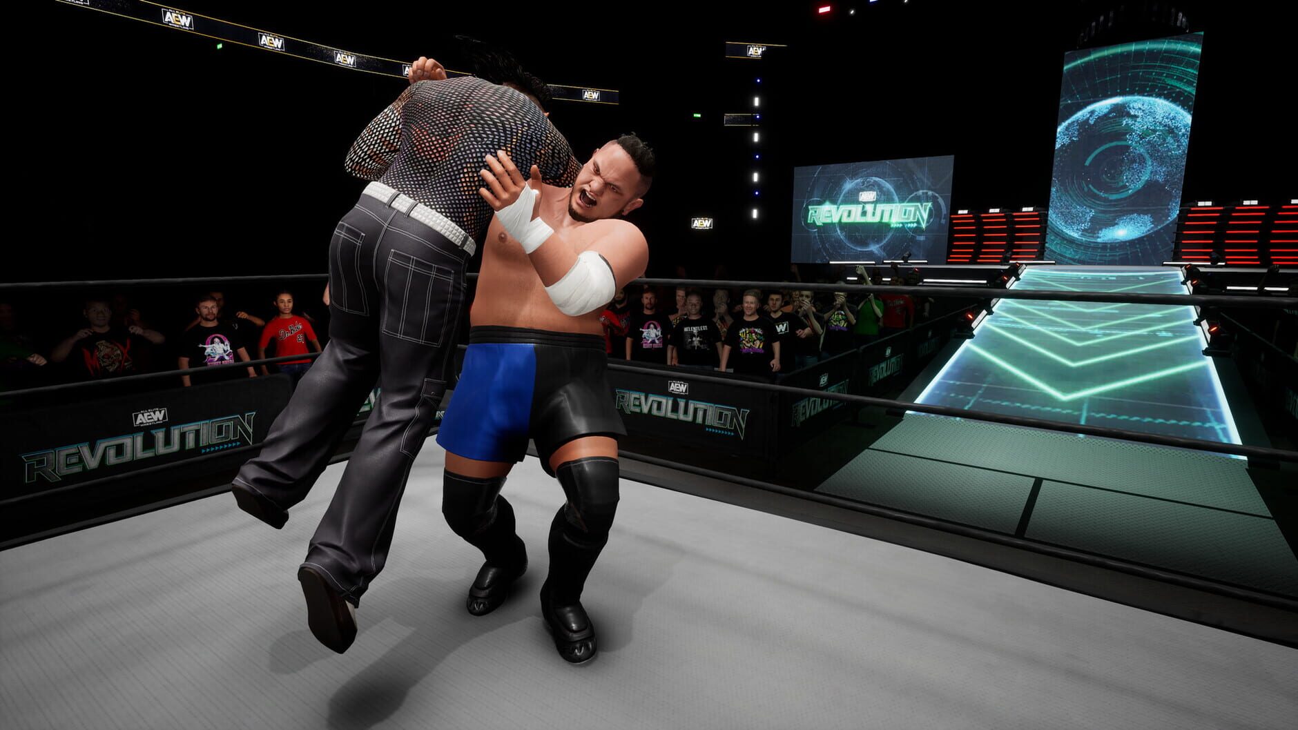 Screenshot for All Elite Wrestling: Fight Forever - World War Joe