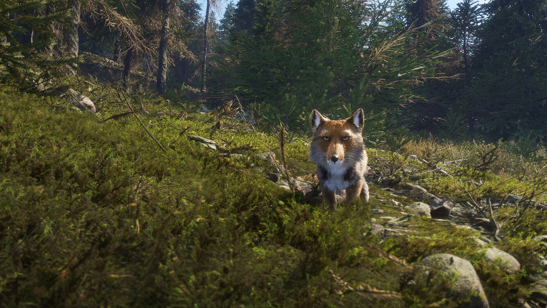 Screenshot for TheHunter: Call of the Wild - Sundarpatan Nepal Hunting Reserve