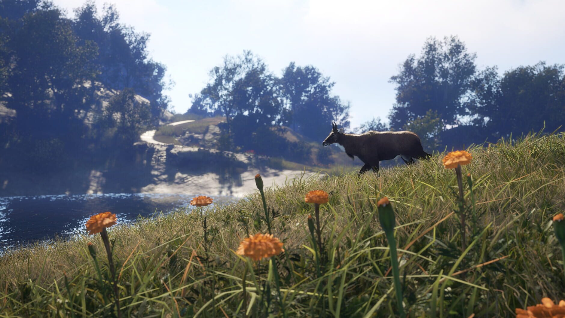 Screenshot for TheHunter: Call of the Wild - Sundarpatan Nepal Hunting Reserve