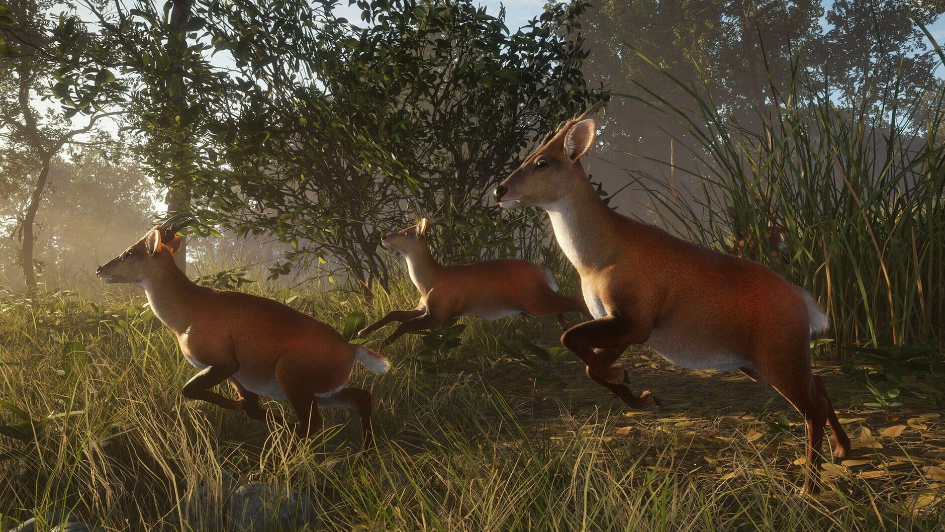 Screenshot for TheHunter: Call of the Wild - Sundarpatan Nepal Hunting Reserve