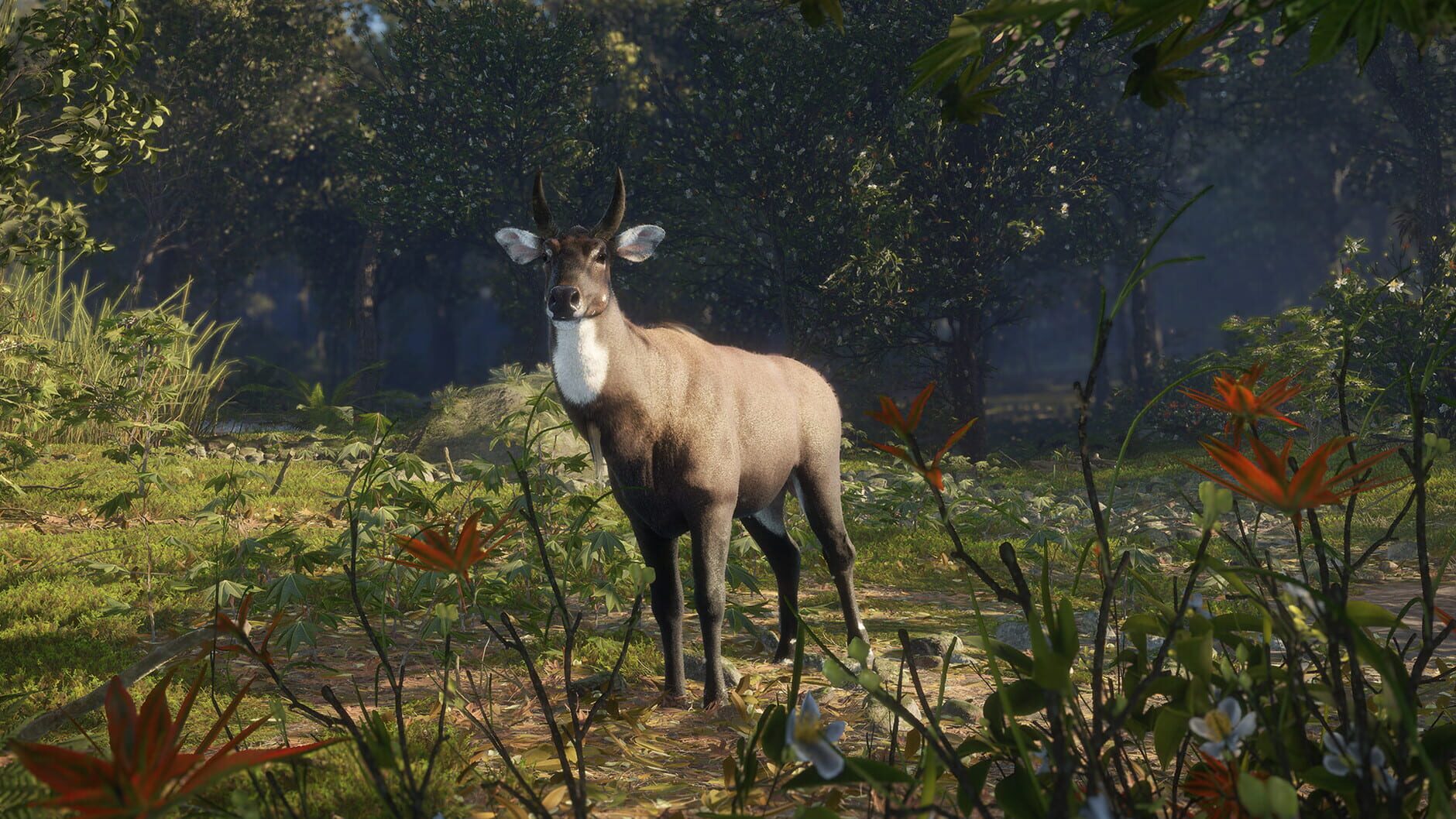 Screenshot for TheHunter: Call of the Wild - Sundarpatan Nepal Hunting Reserve