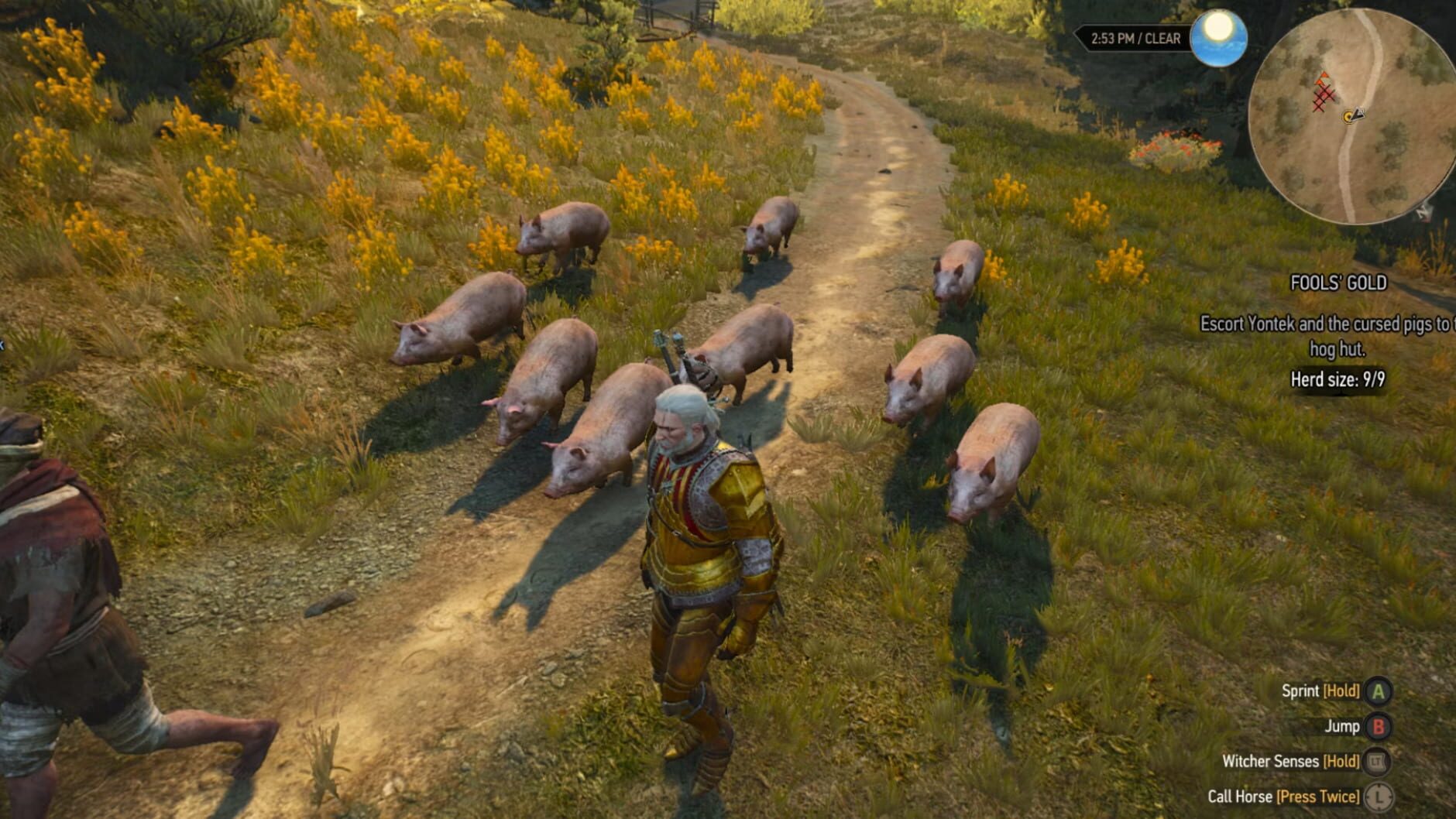 Screenshot for The Witcher 3: Wild Hunt - New Quest 'Fool's Gold'