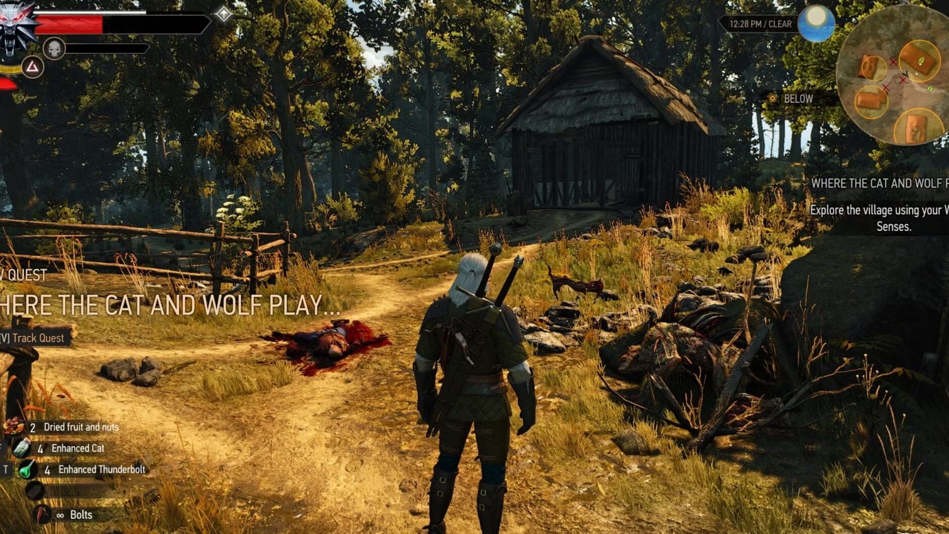 Screenshot for The Witcher 3: Wild Hunt - New Quest 'Where the Cat and Wolf Play...'