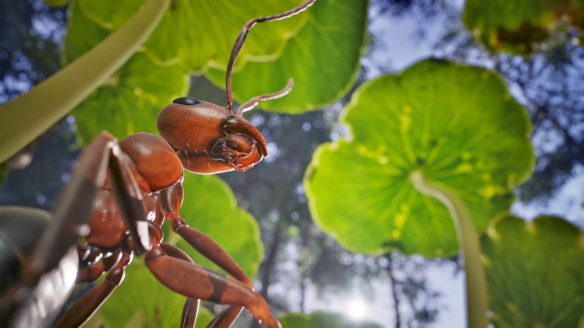 Screenshot for Empire of the Ants