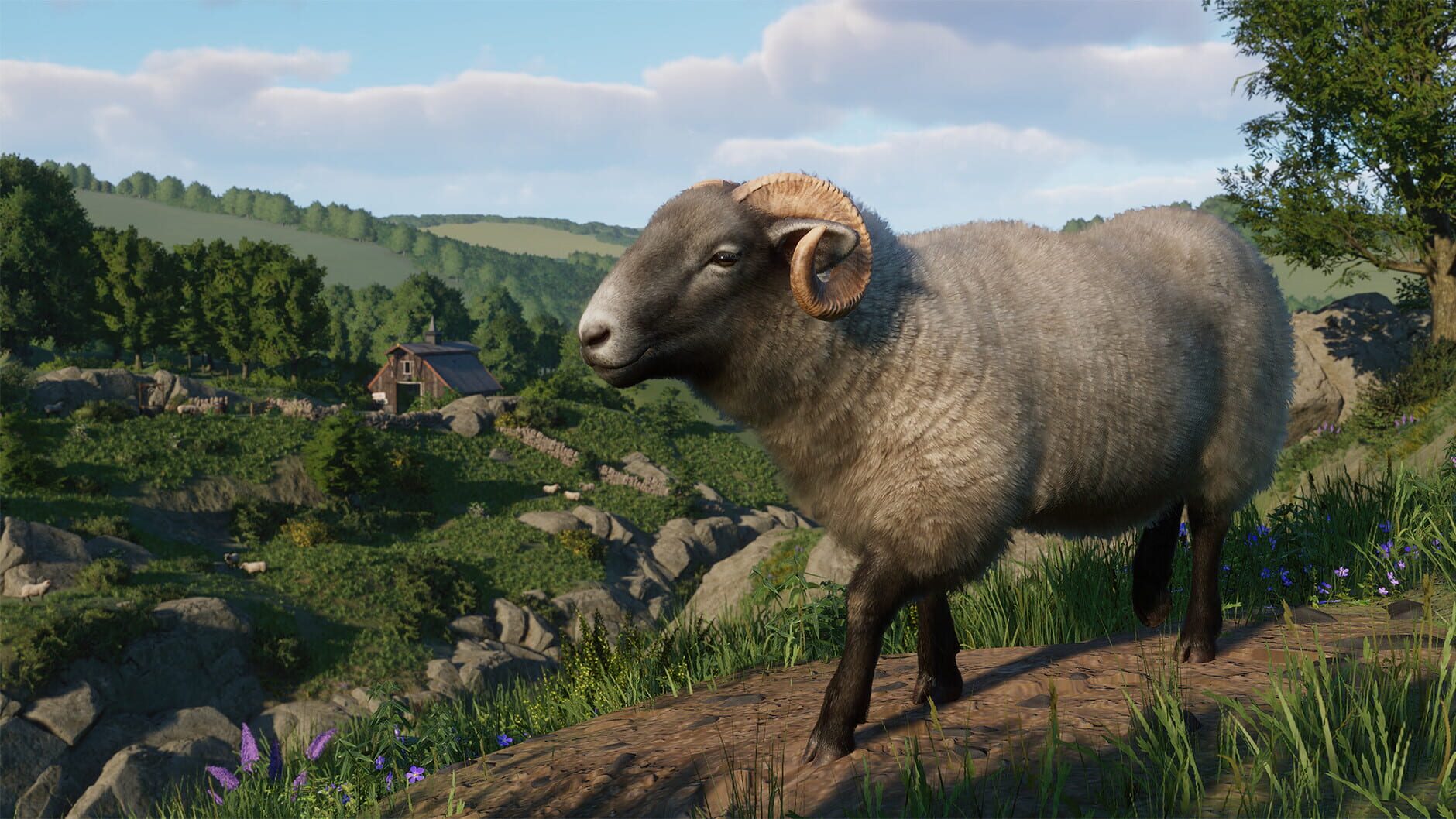 Screenshot for Planet Zoo: Barnyard Animal Pack
