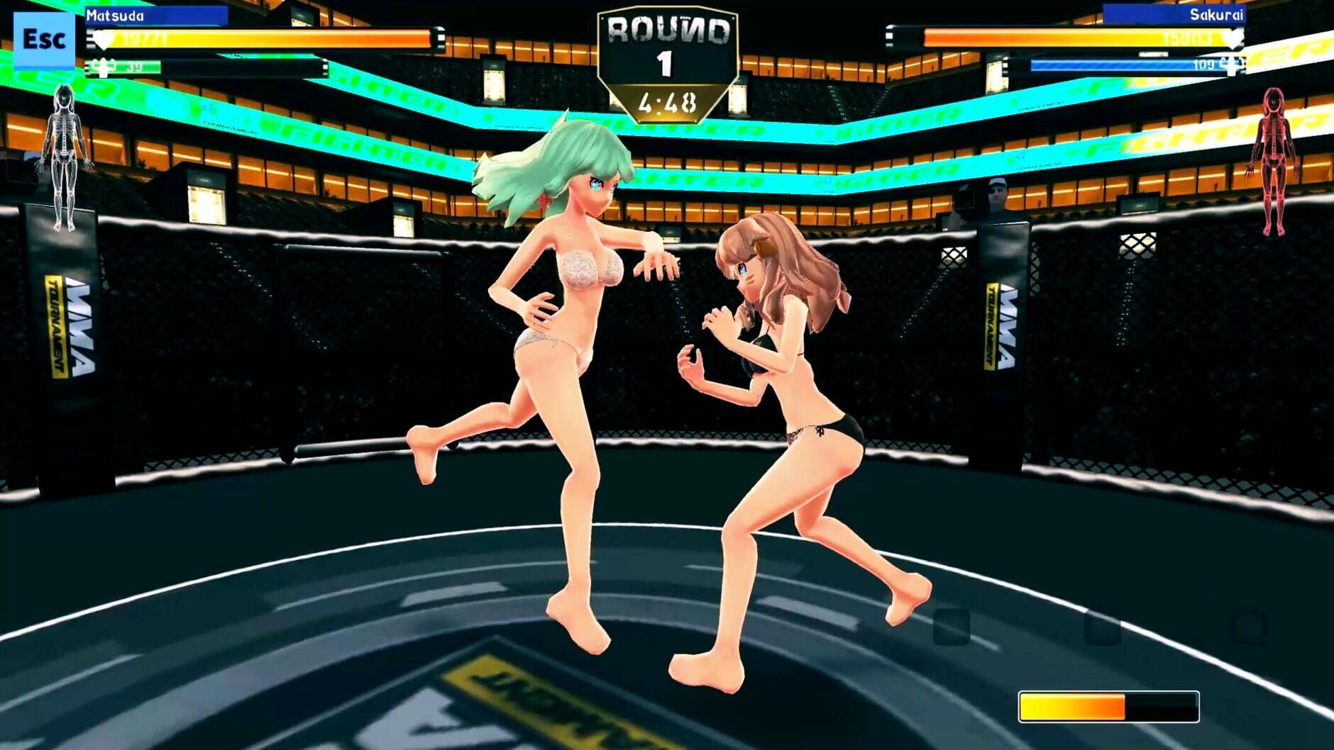 Screenshot for Anime Girls: MMA Tournament