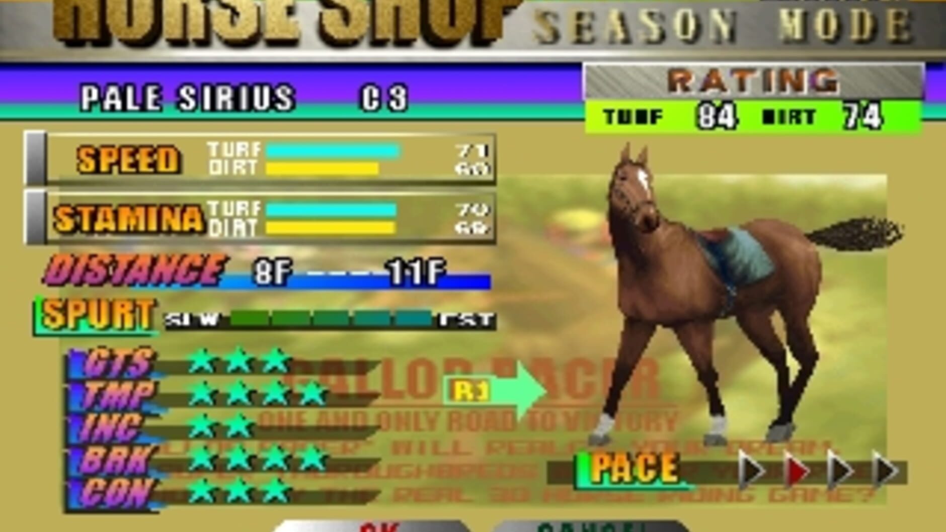 Screenshot for Gallop Racer
