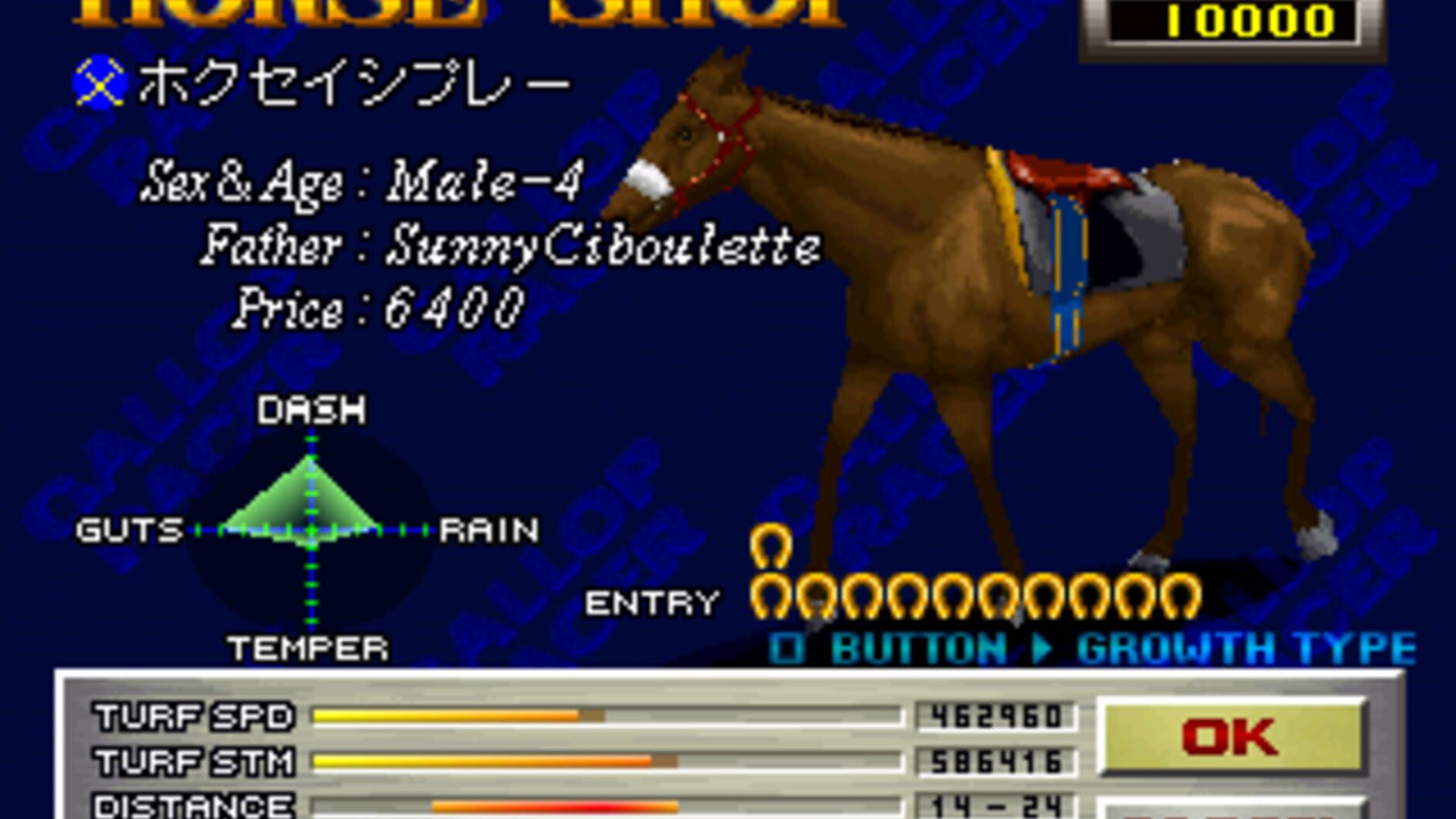 Screenshot for Gallop Racer