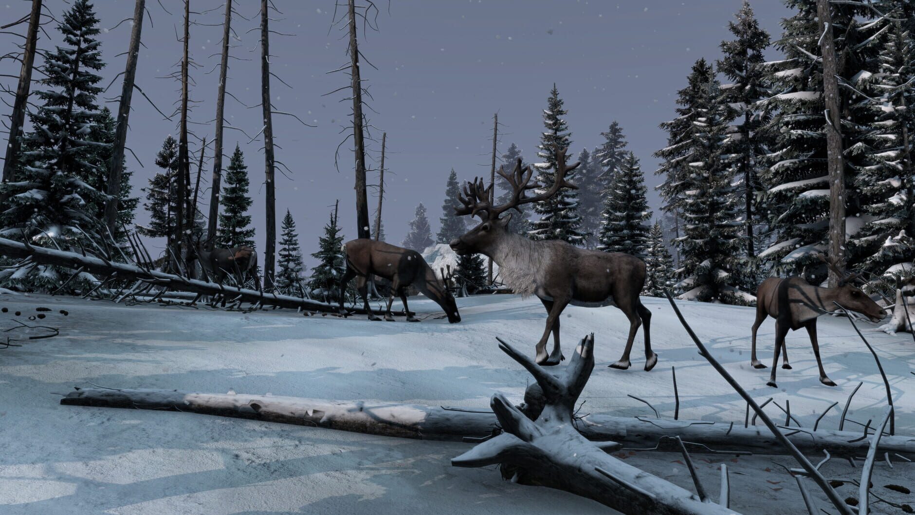 Screenshot for DayZ: Frostline