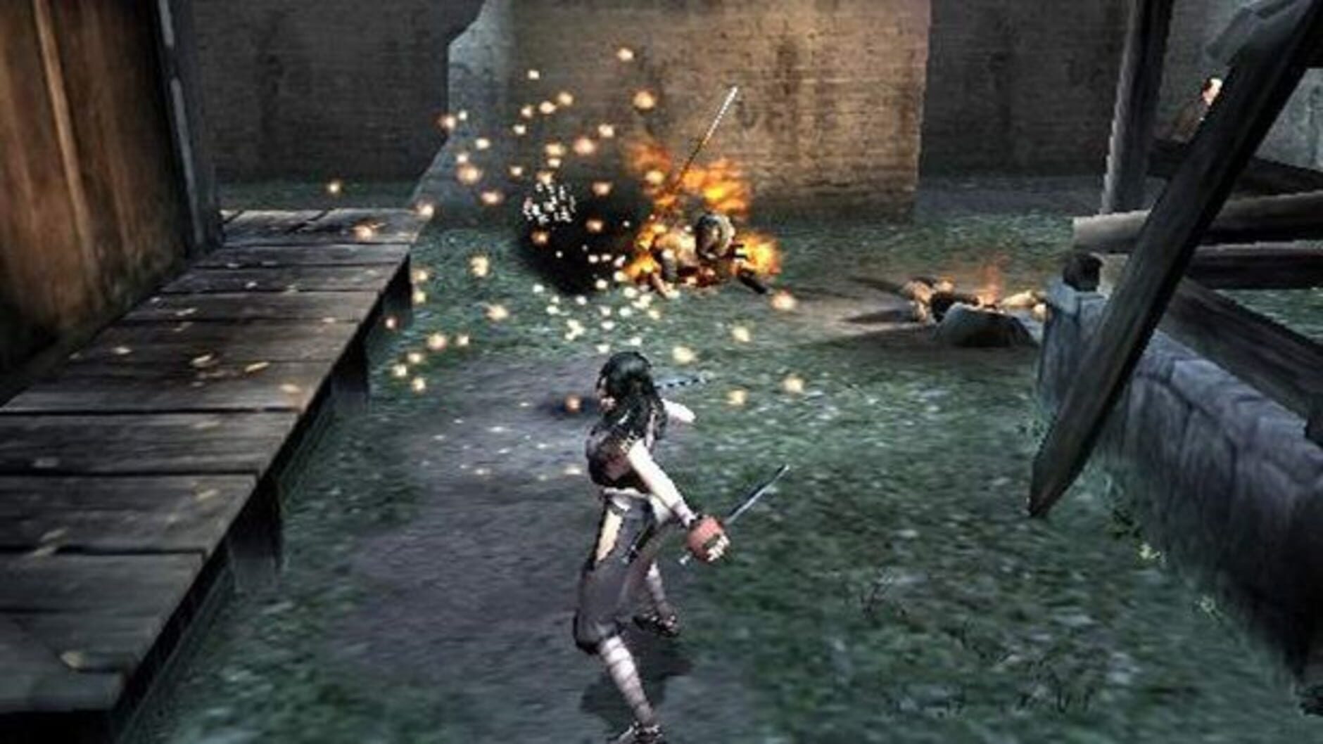 Screenshot for Tenchu: Fatal Shadows