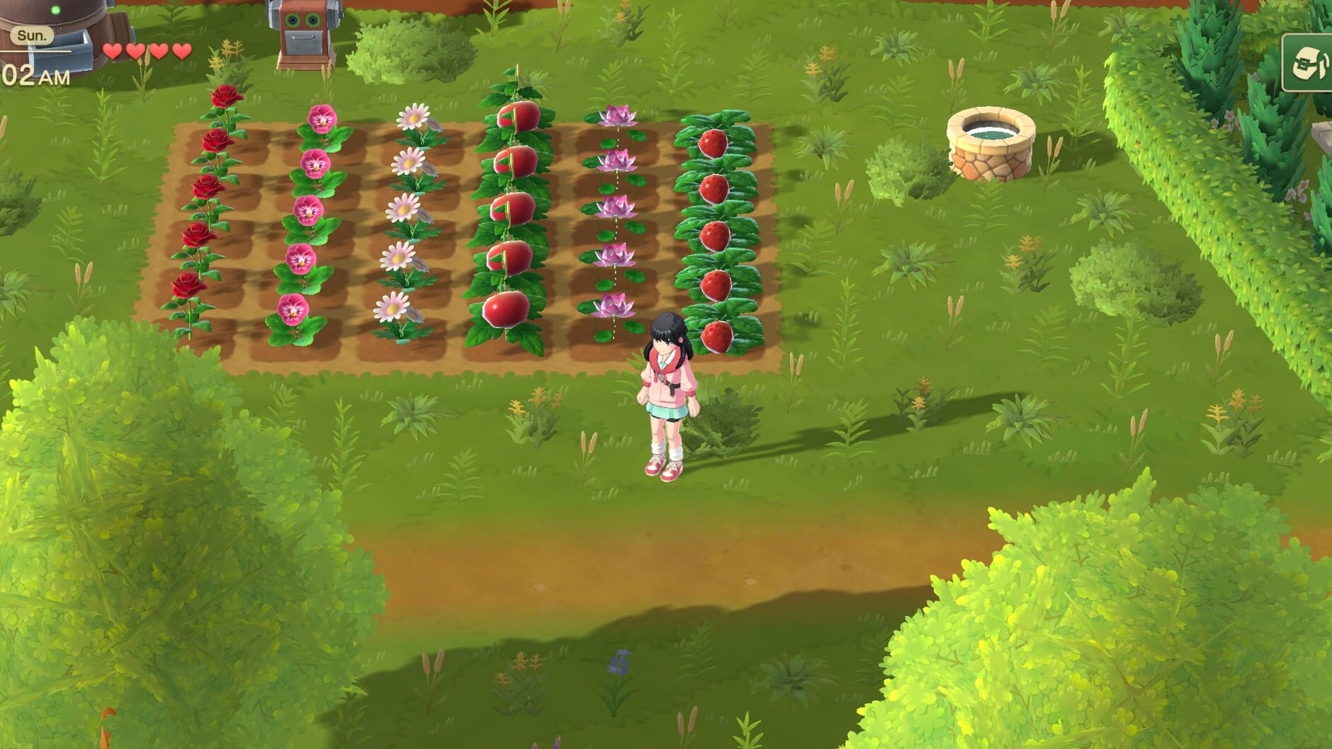 Screenshot for Harvest Moon: Home Sweet Home