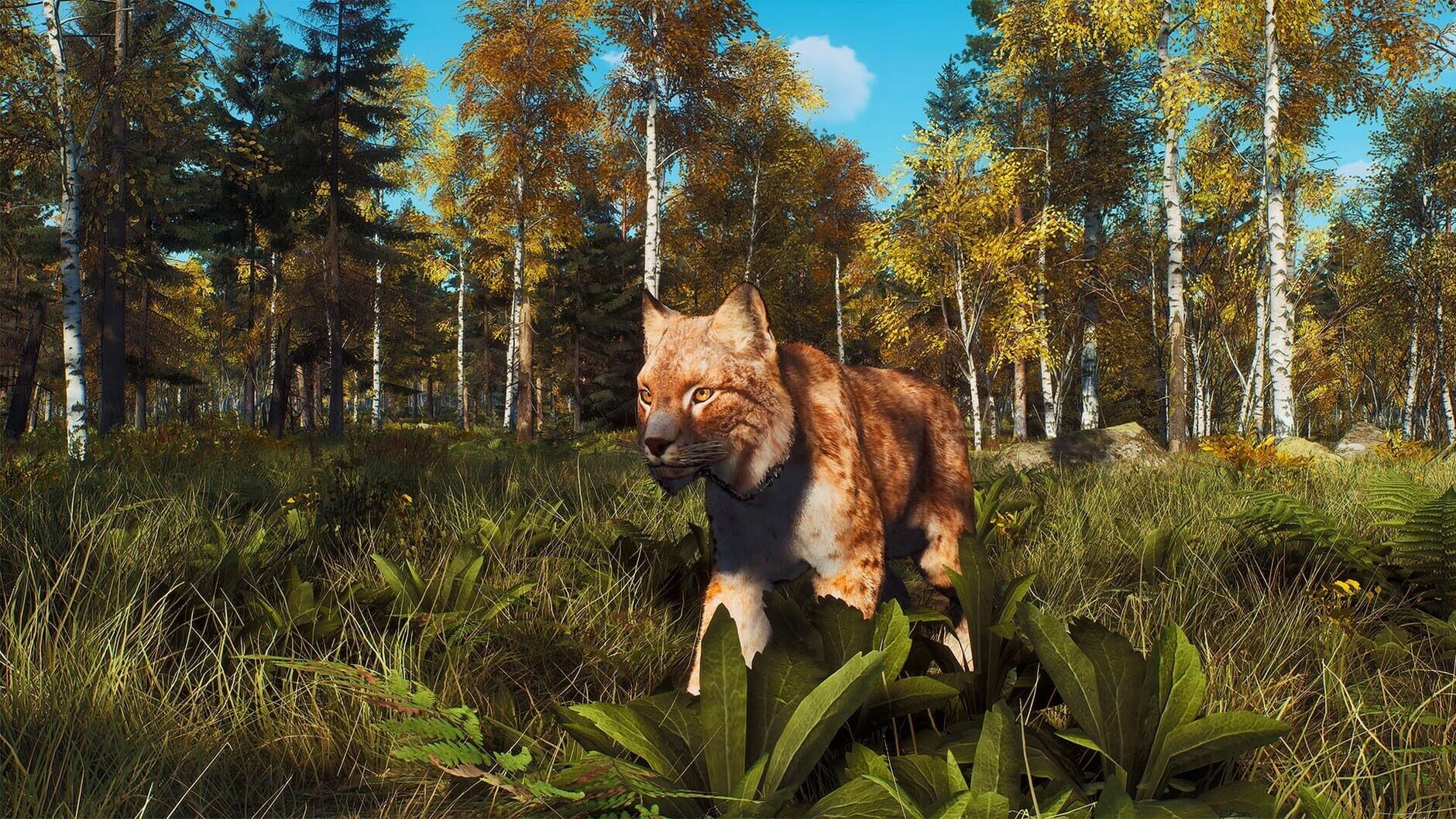 Screenshot for Way of the Hunter: Lintukoto Reserve
