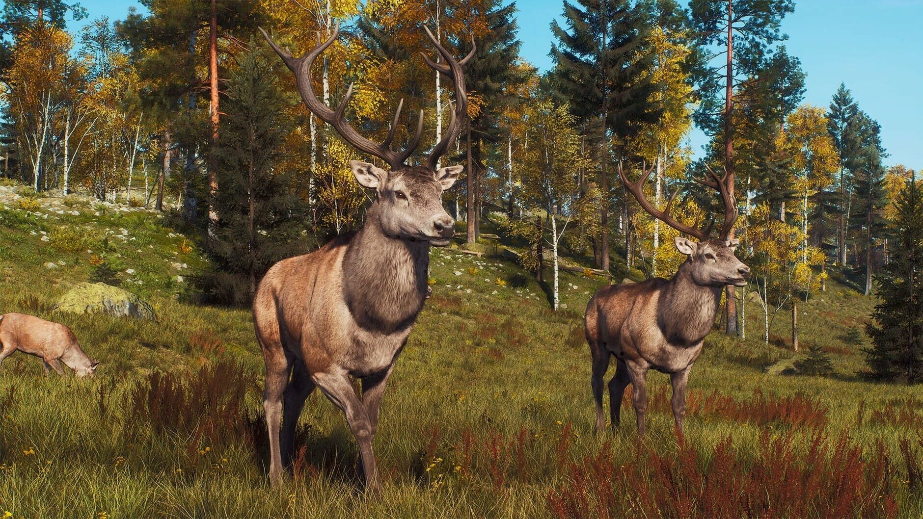 Screenshot for Way of the Hunter: Lintukoto Reserve