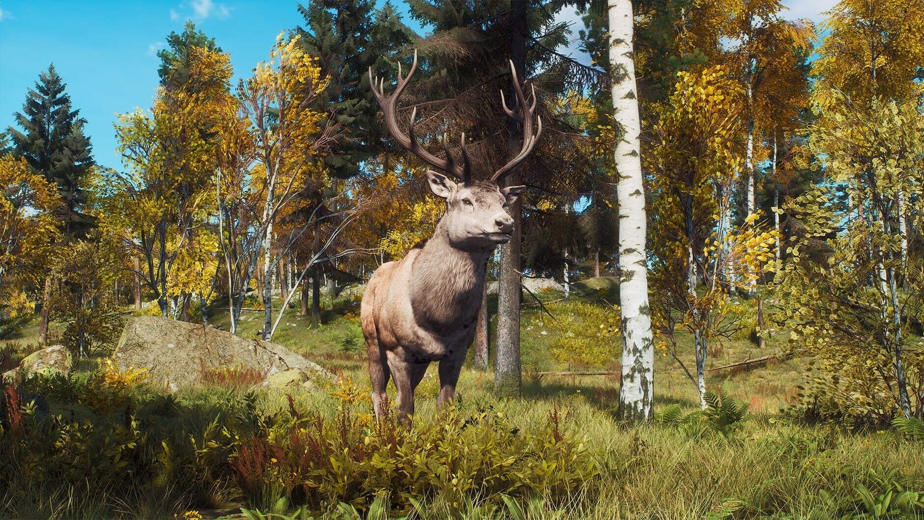 Screenshot for Way of the Hunter: Lintukoto Reserve