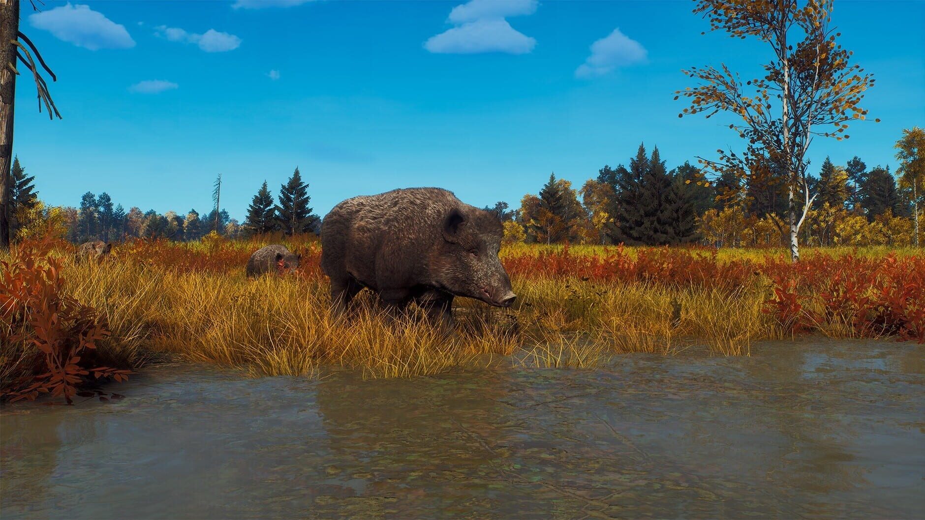 Screenshot for Way of the Hunter: Lintukoto Reserve