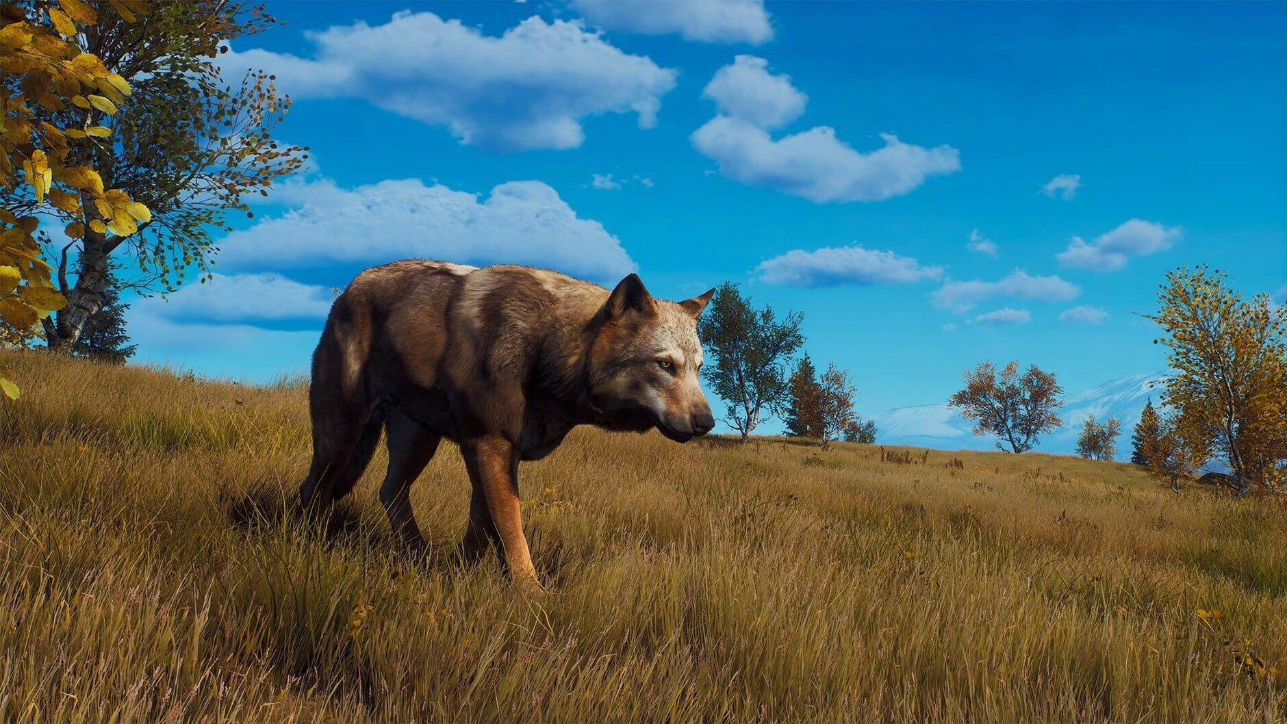 Screenshot for Way of the Hunter: Lintukoto Reserve