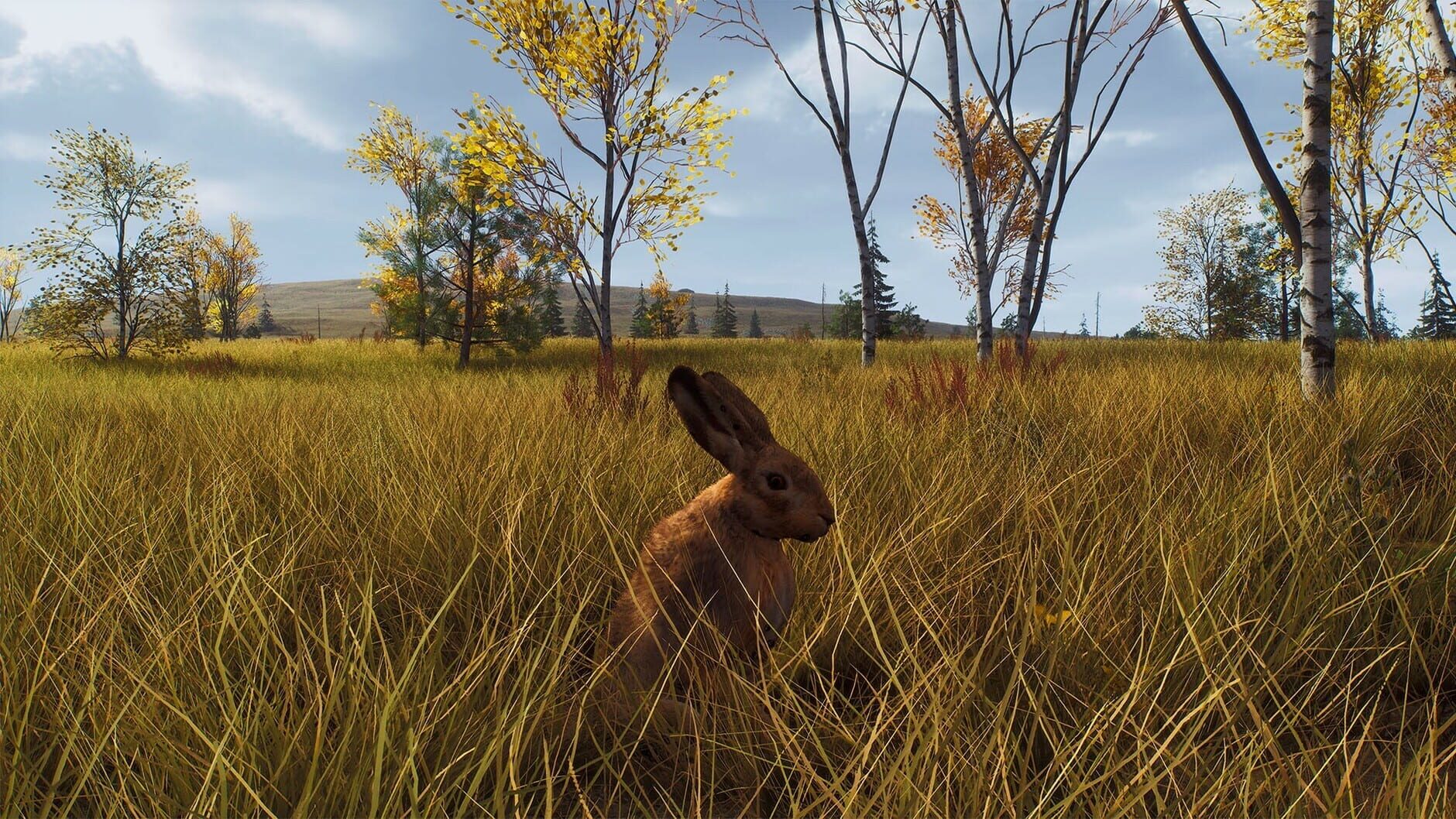 Screenshot for Way of the Hunter: Lintukoto Reserve