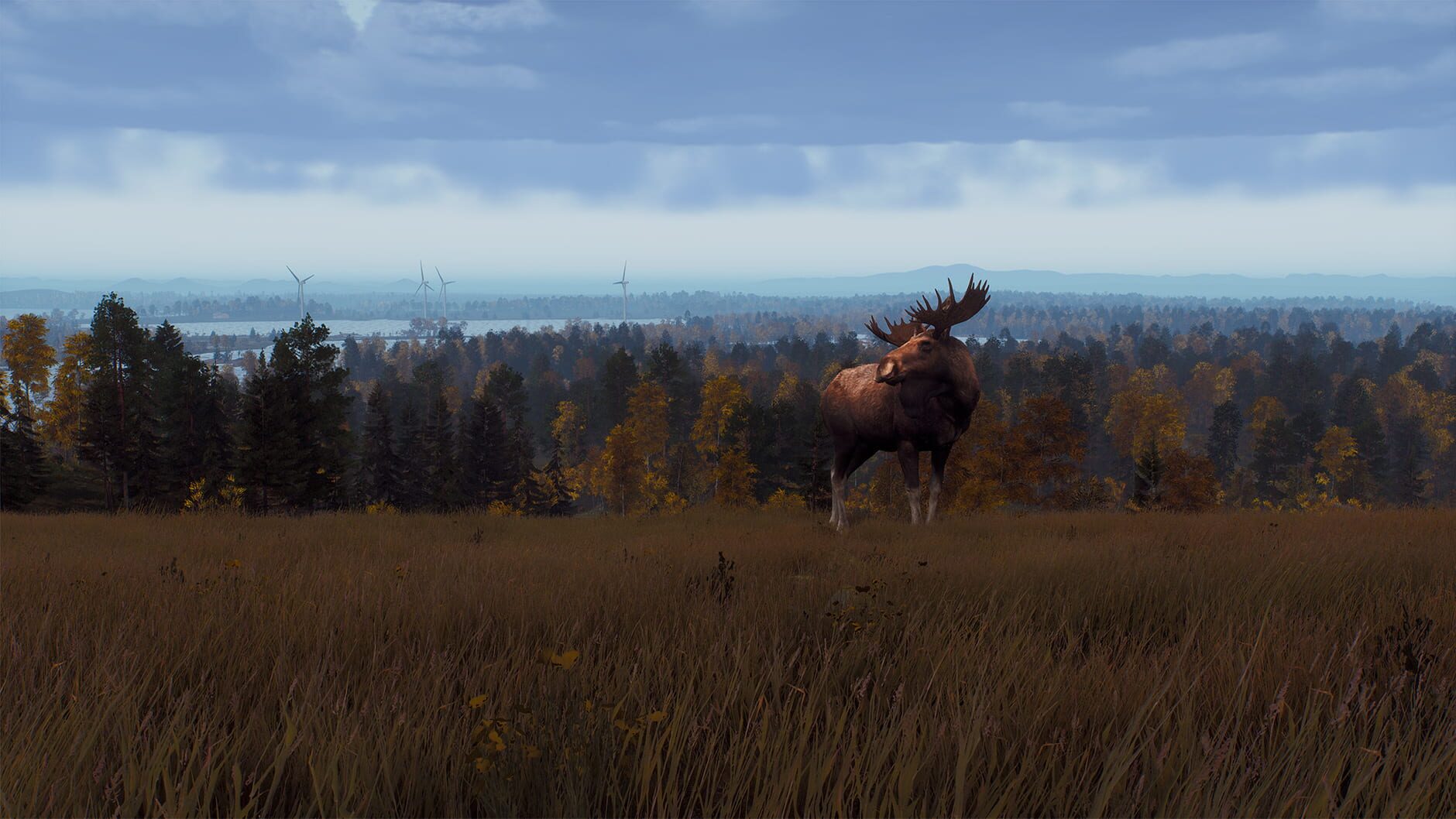 Screenshot for Way of the Hunter: Lintukoto Reserve