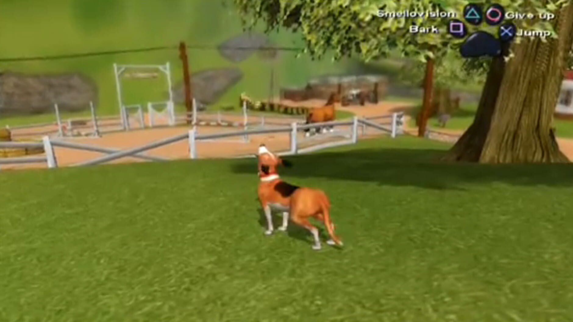 Screenshot for Dog's Life
