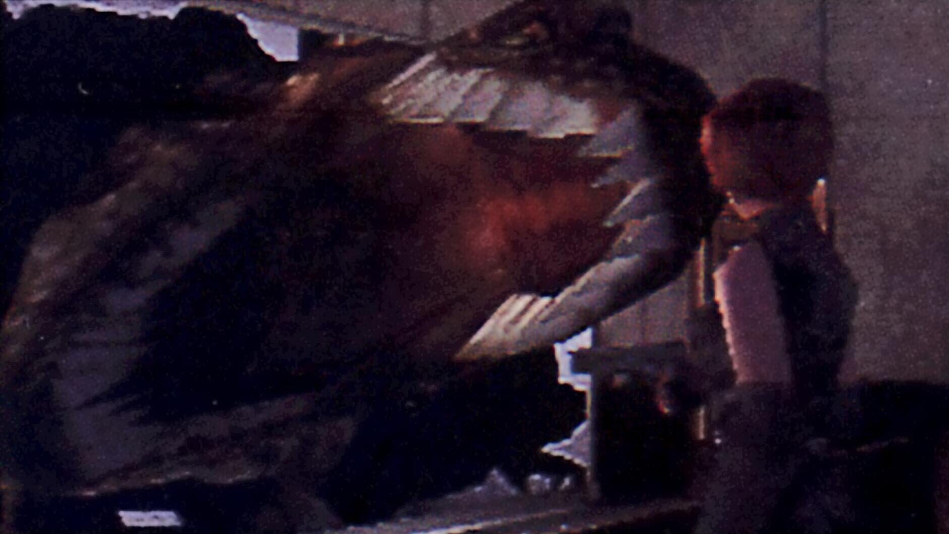 Screenshot for Dino Crisis