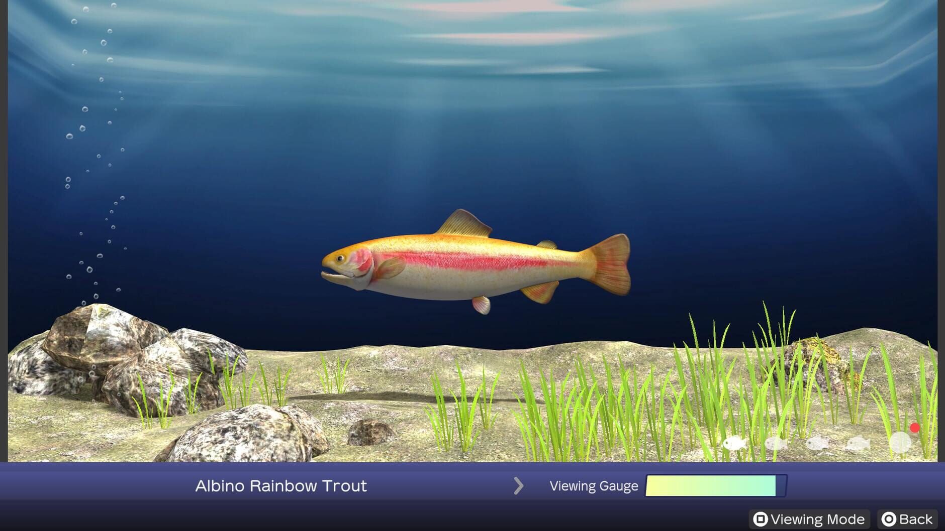 Screenshot for Reel Fishing: Days of Summer