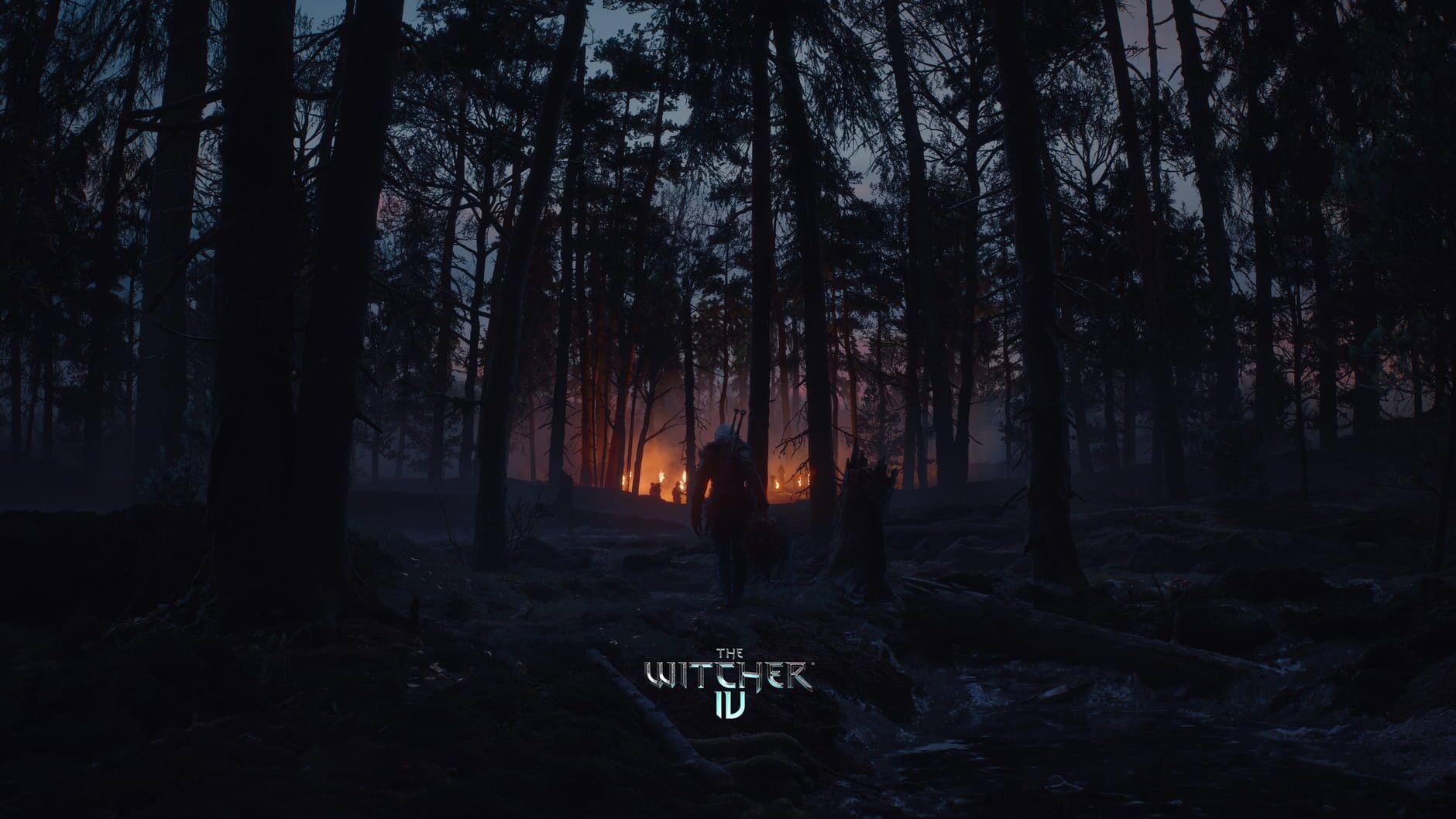 Screenshot for The Witcher IV