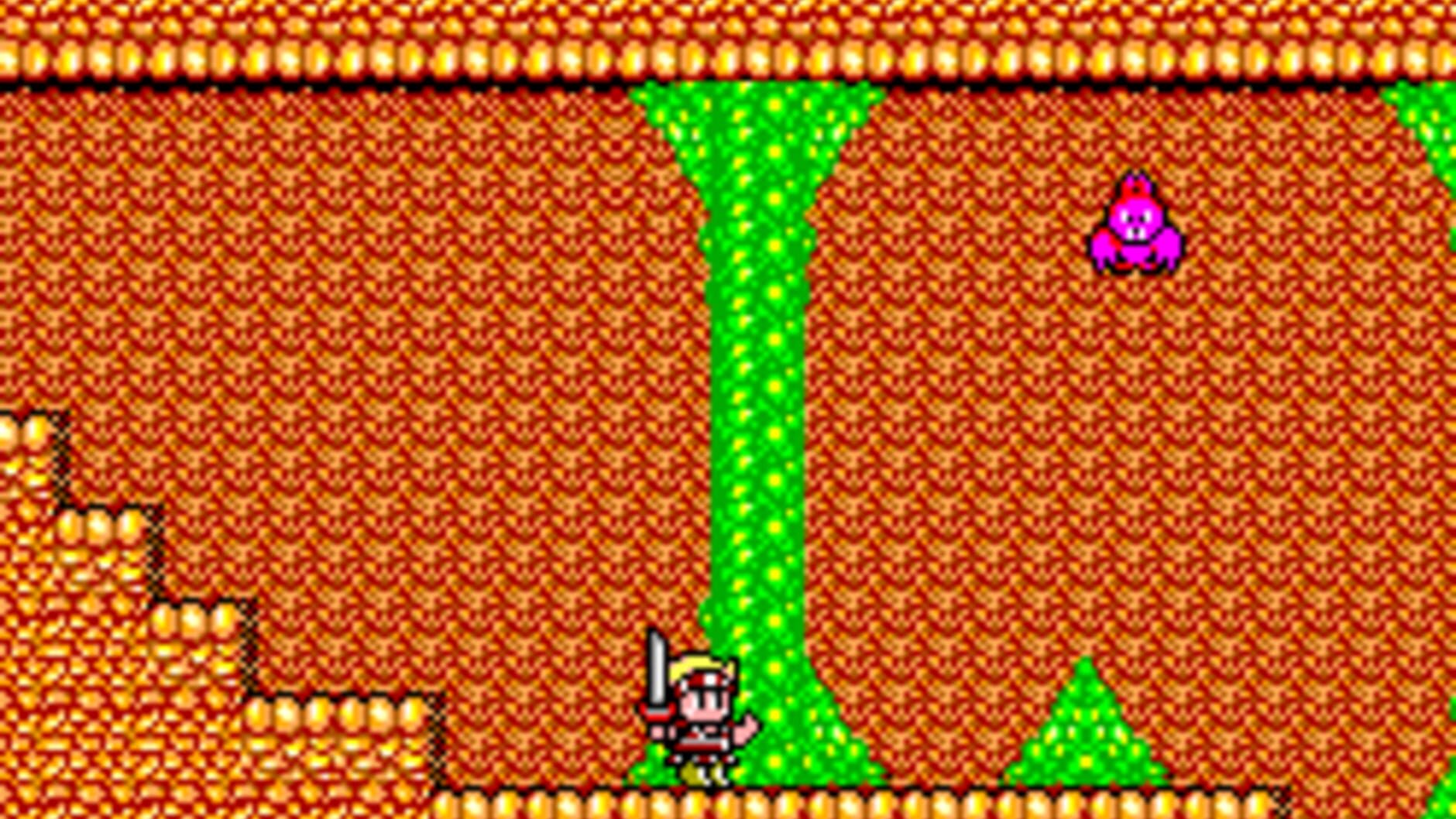 Screenshot for Wonder Boy in Monster Land