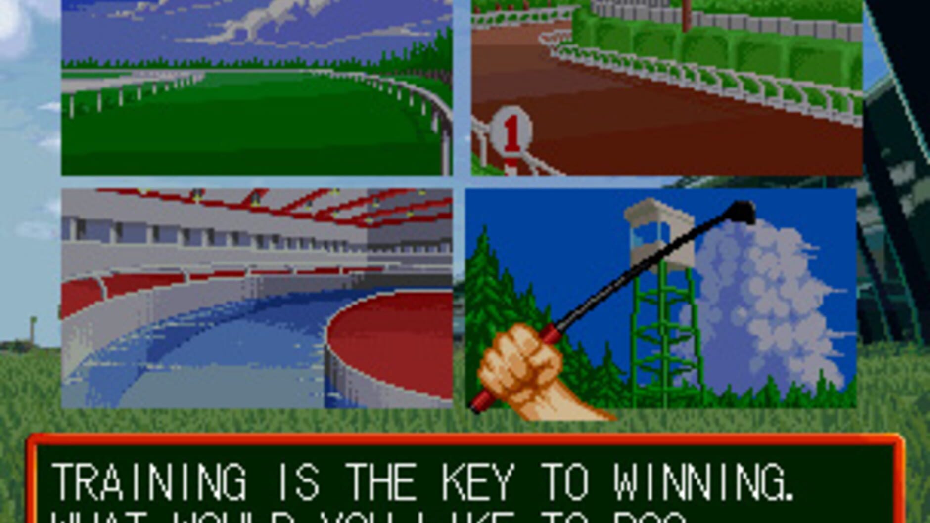 Screenshot for Stakes Winner 2