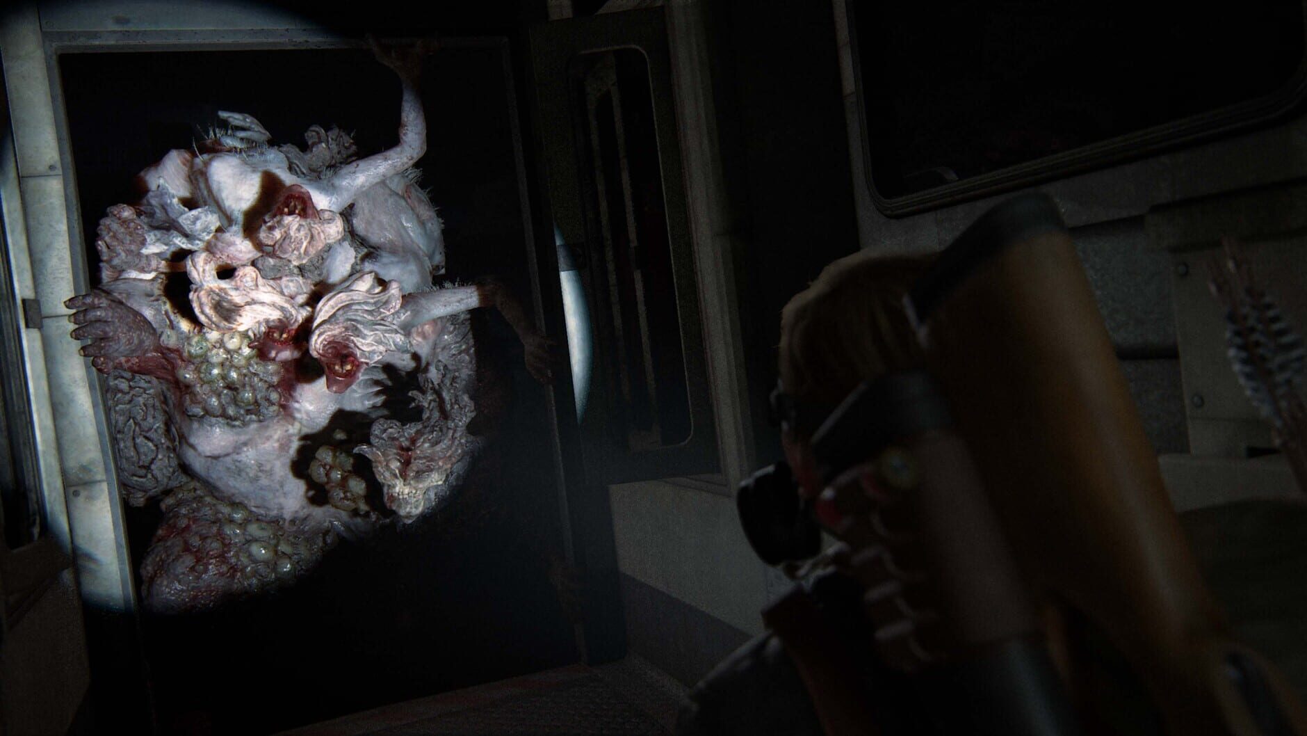 Screenshot for The Last of Us Complete