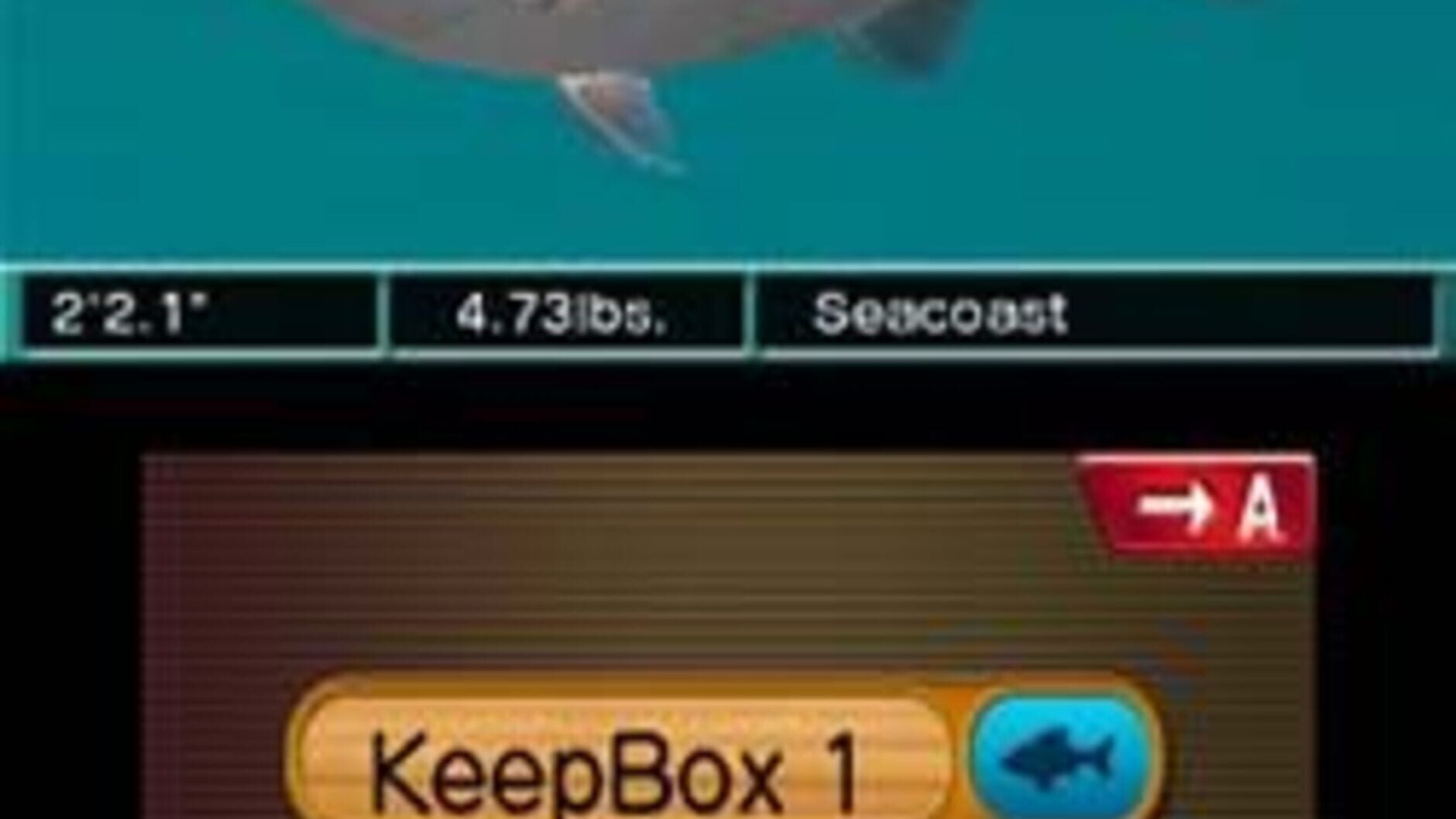 Screenshot for Reel Fishing Paradise 3D