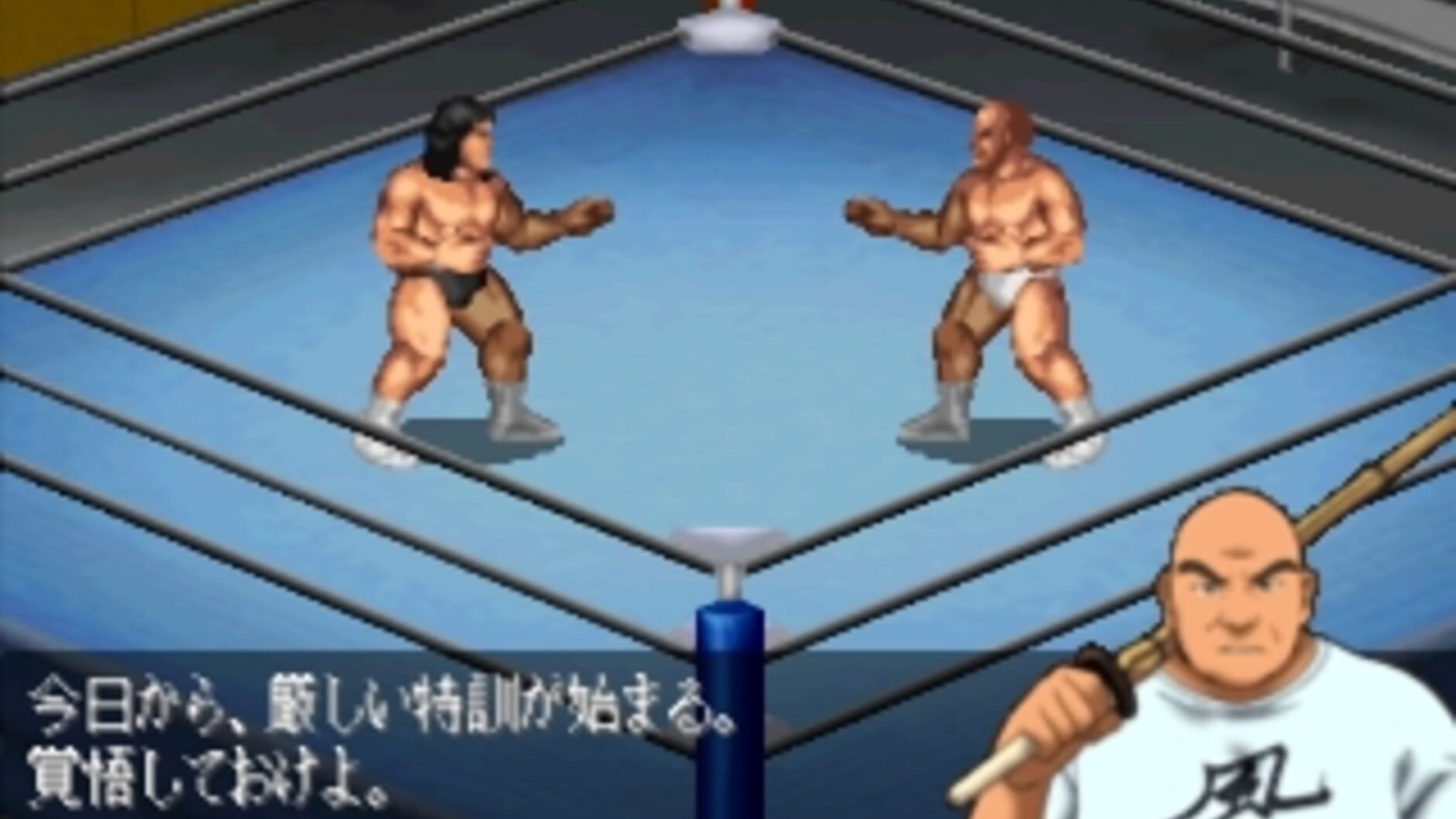 Screenshot for Fire Pro Wrestling G