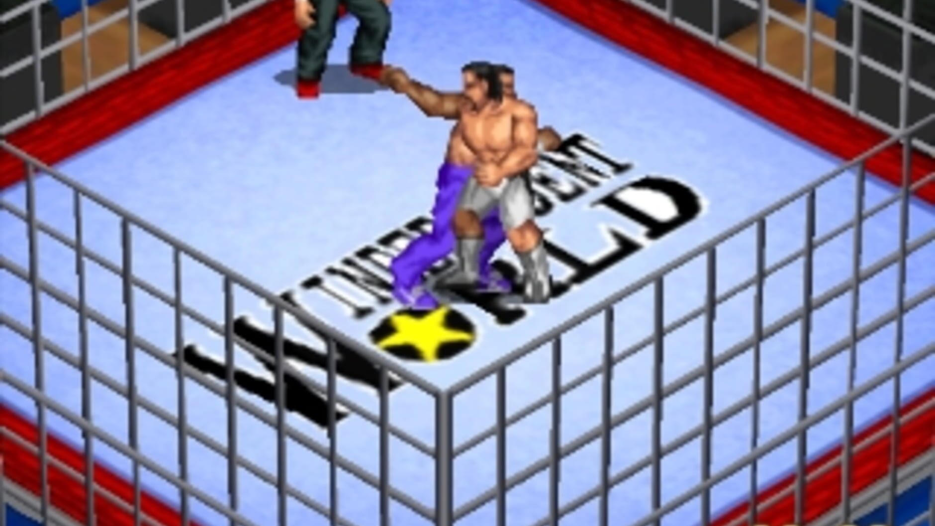Screenshot for Fire Pro Wrestling G