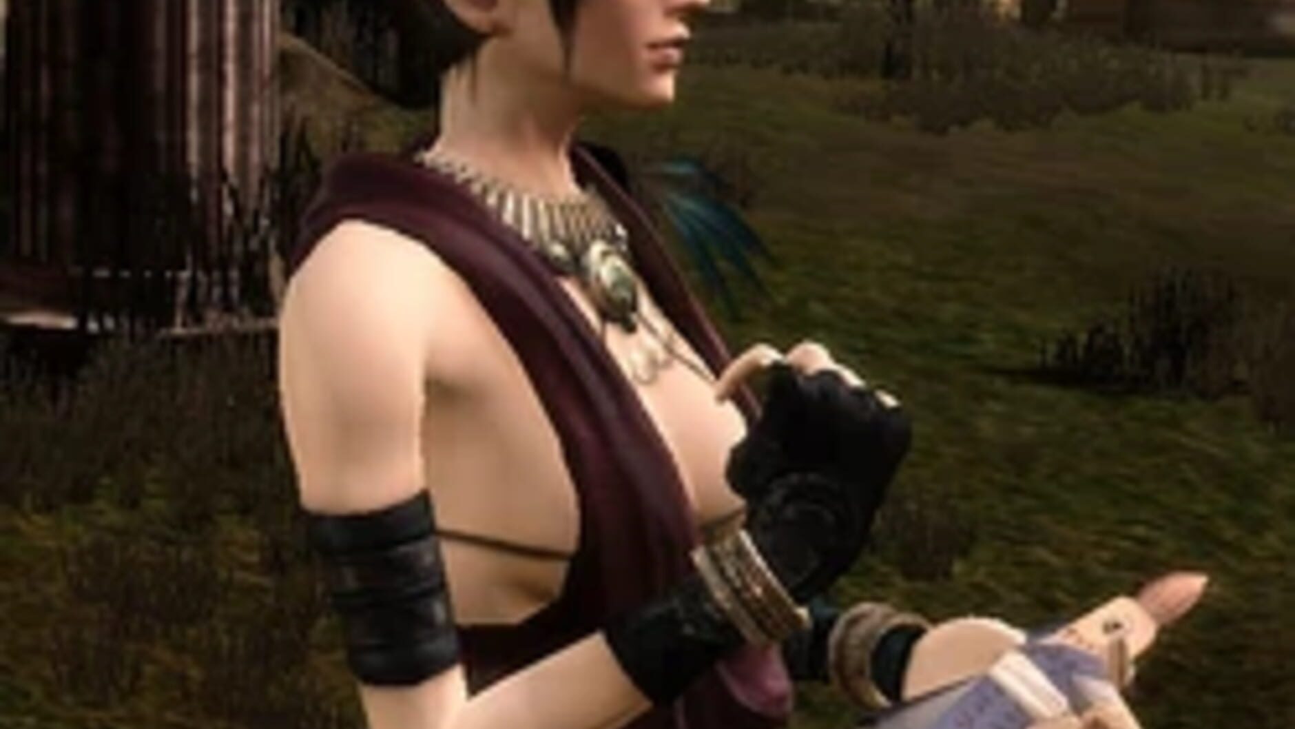 Screenshot for Dragon Age: Origins - Feastday Gifts