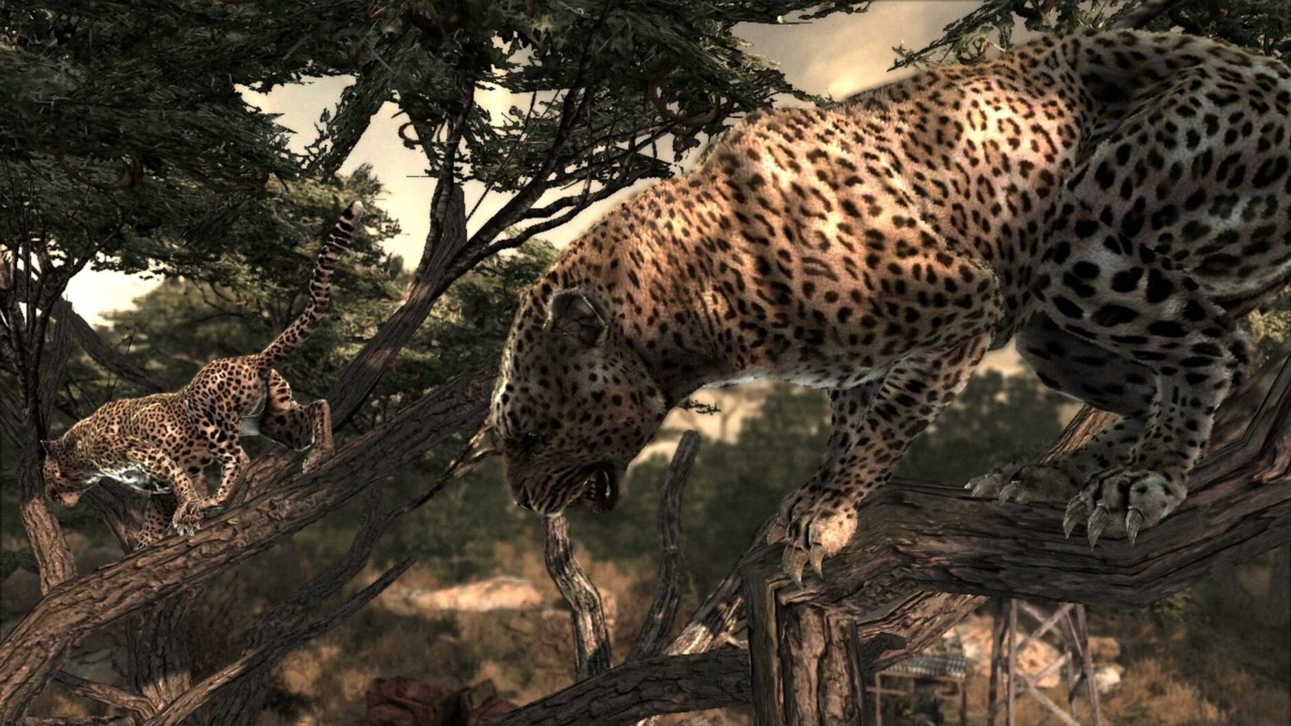Screenshot for Cabela's Dangerous Hunts 2011