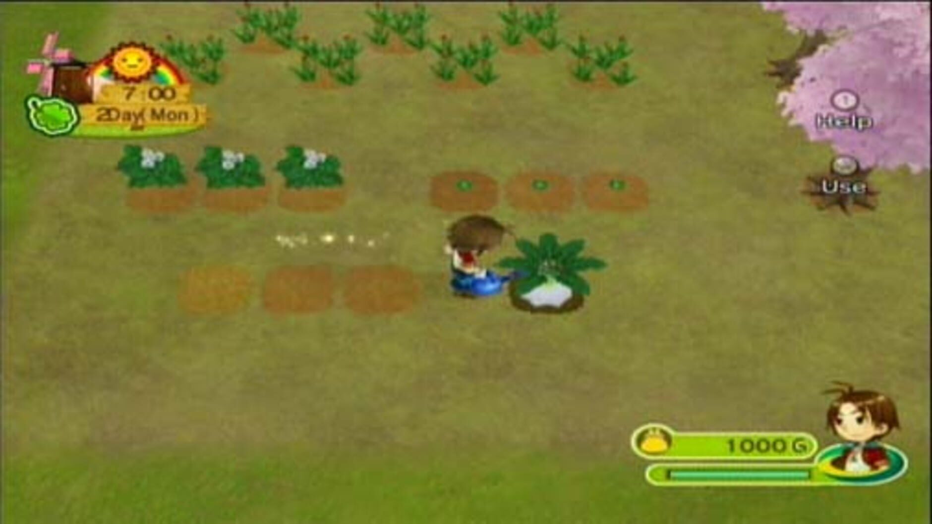 Screenshot for Harvest Moon: Animal Parade
