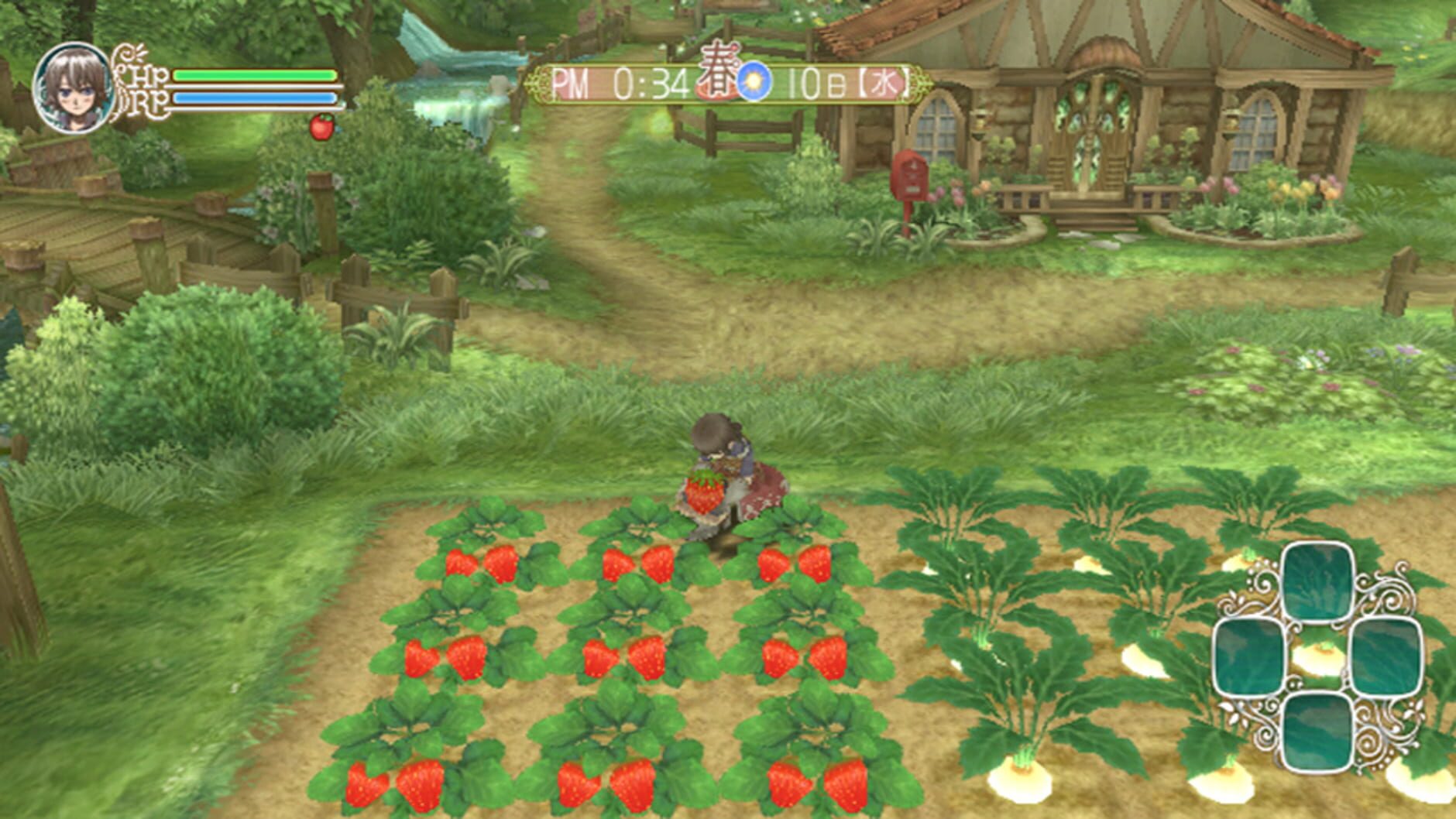 Screenshot for Rune Factory Frontier