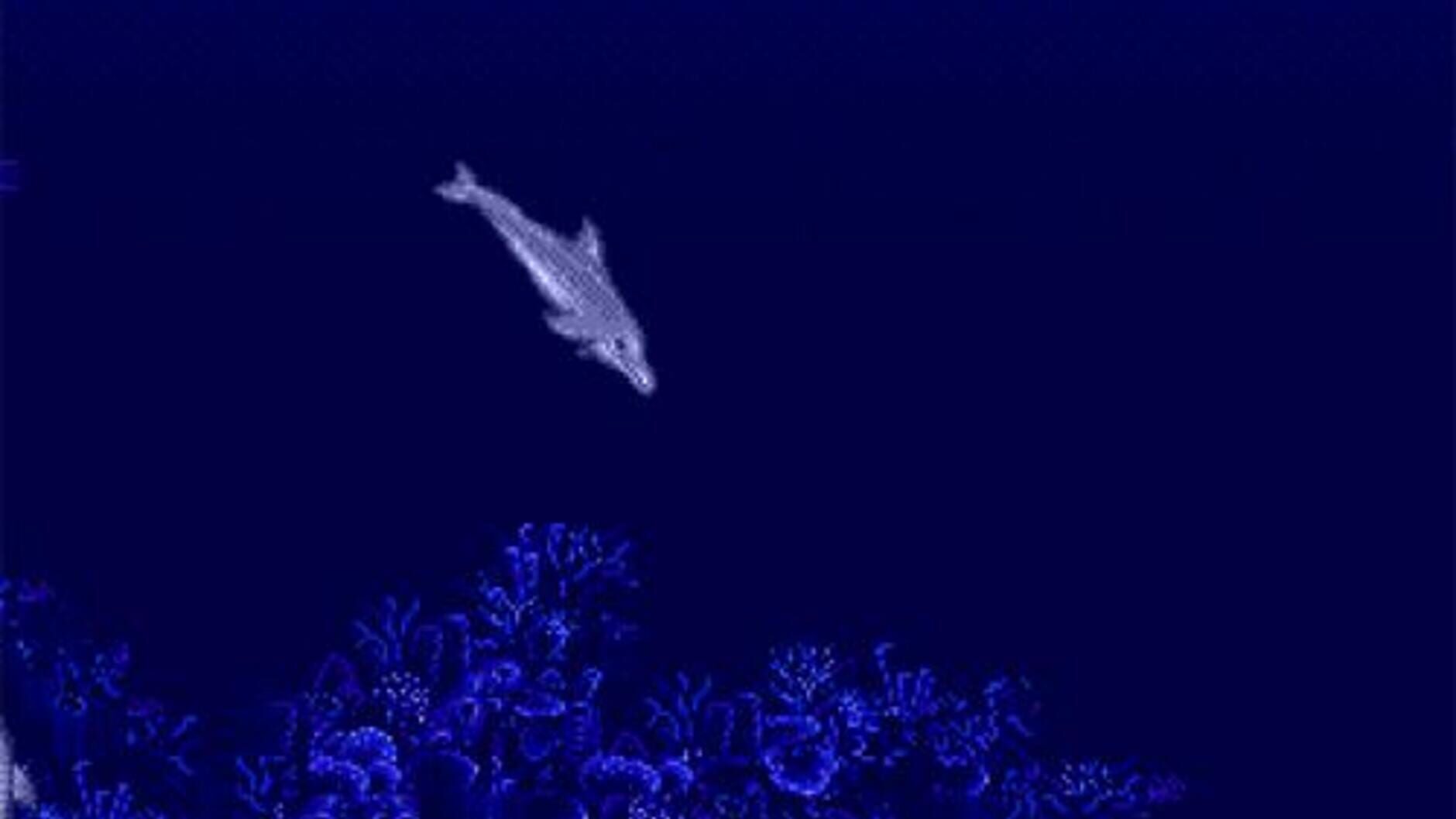Screenshot for Ecco the Dolphin