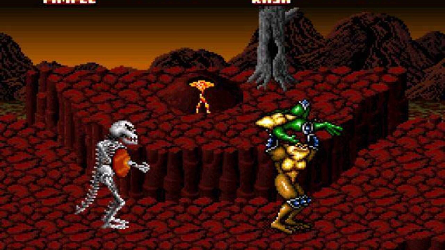 Screenshot for Battletoads In Battlemaniacs