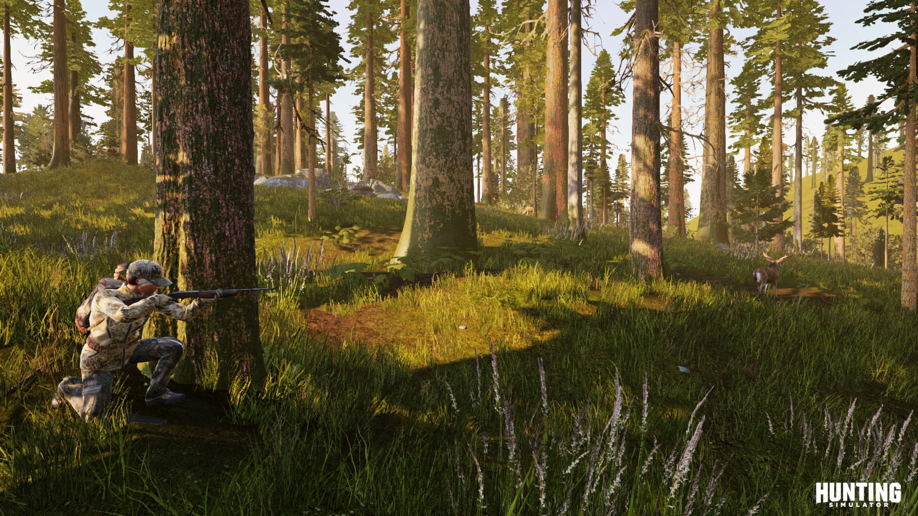 Screenshot for Hunting Simulator